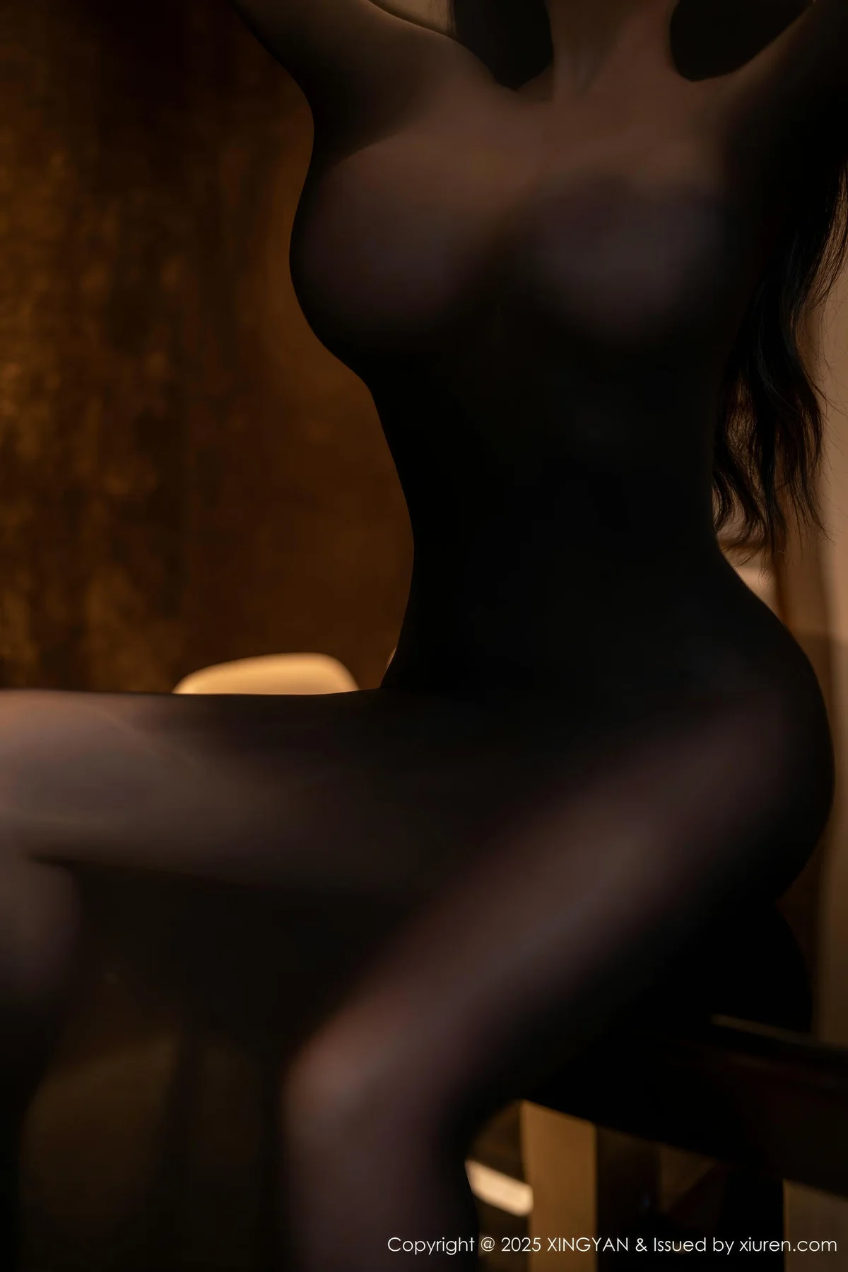 XINGYAN 星颜社 Vol.309 潘思沁 肥臀玉体黑丝 - 4