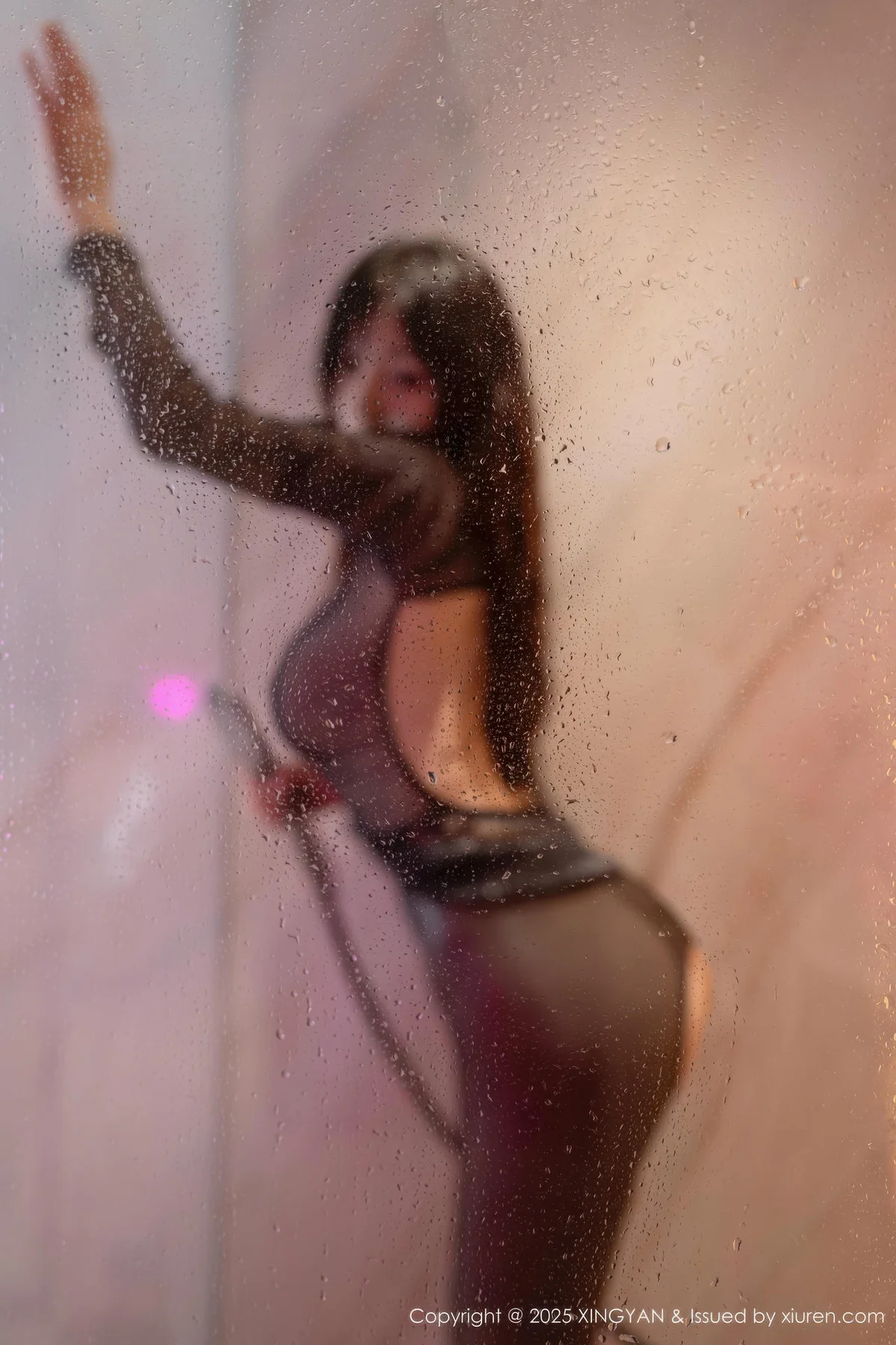 XINGYAN 星颜社 Vol.424 沈南汐RuRu 湿身翘臀超美美女 - 2