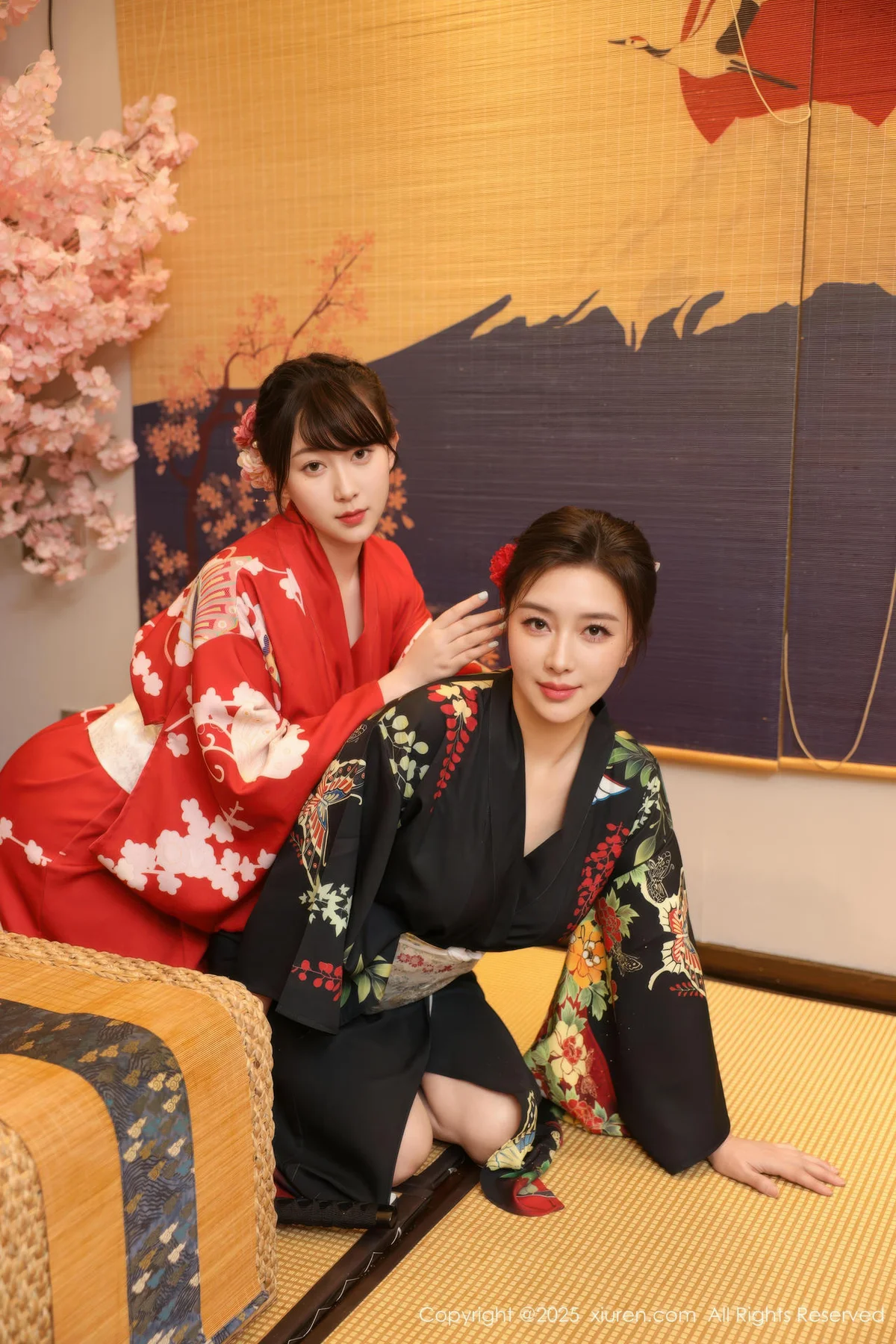 XiuRen 秀人 No.10627 苏一诺 黑色服饰身姿婀娜 - 3