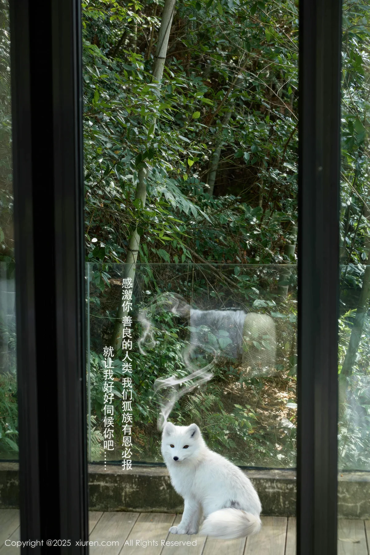 XiuRen 秀人 No.11068 尹甜甜 小白狐装扮灼灼其华 - 1