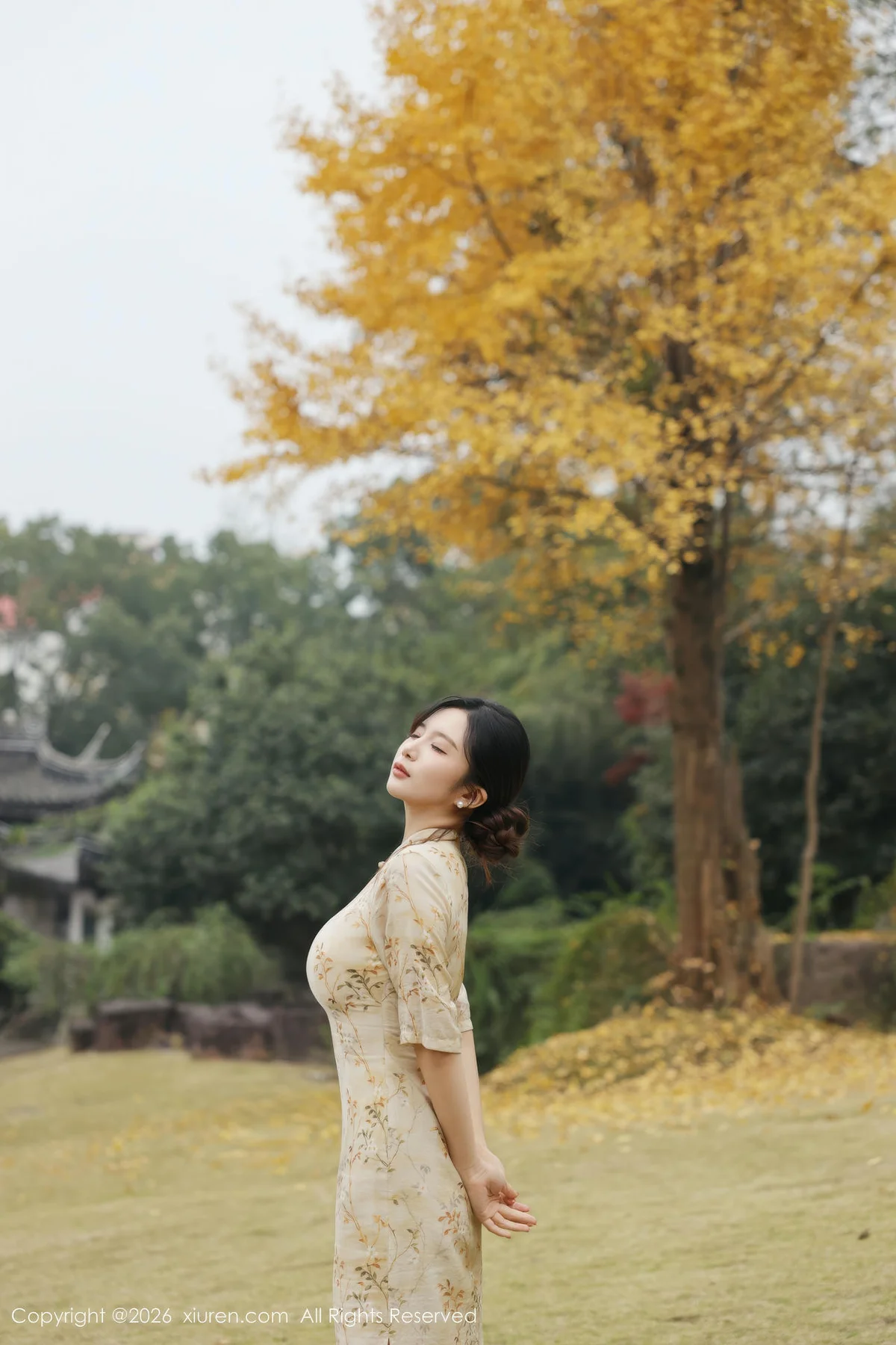 XiuRen 秀人 No.11214 小肉肉咪 浅黄色旗袍户外 - 6