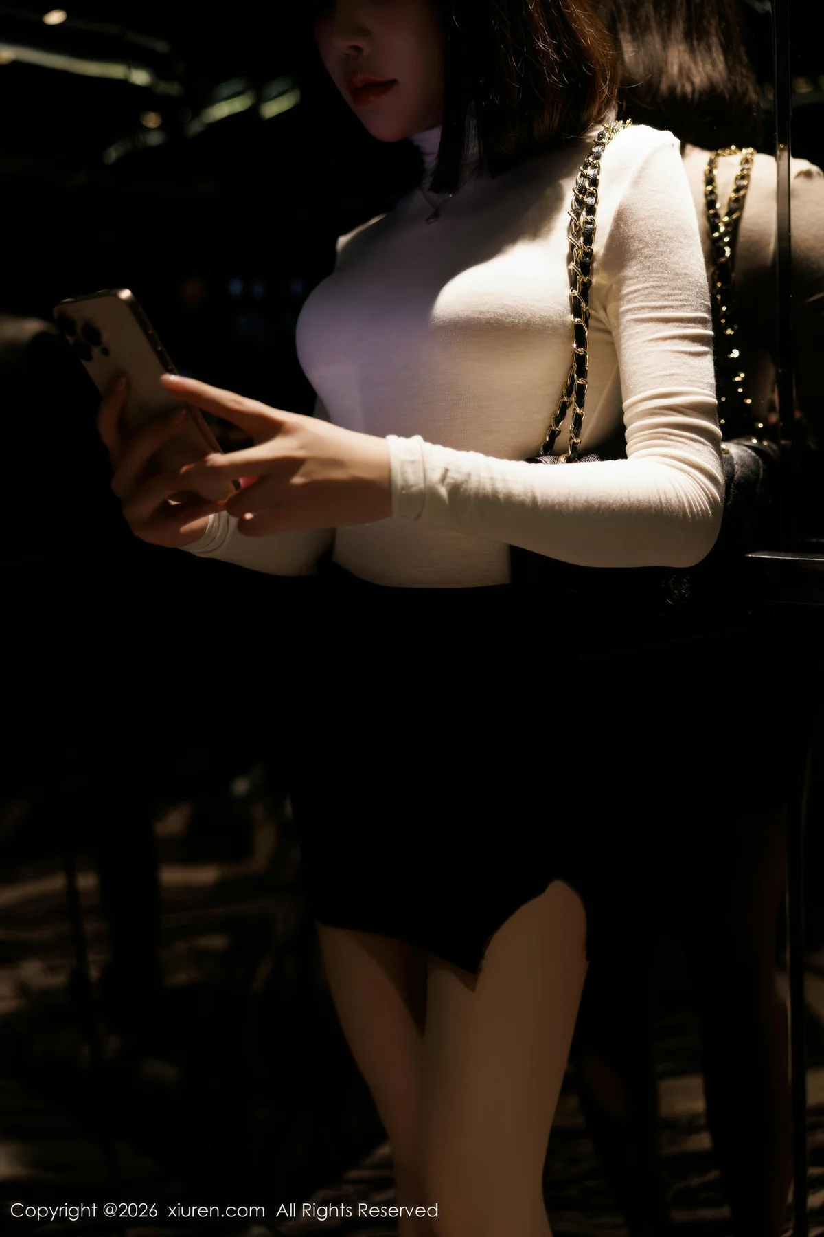 XiuRen 秀人 No.11314 莉芝荔枝 紧身肉丝短裙 - 2