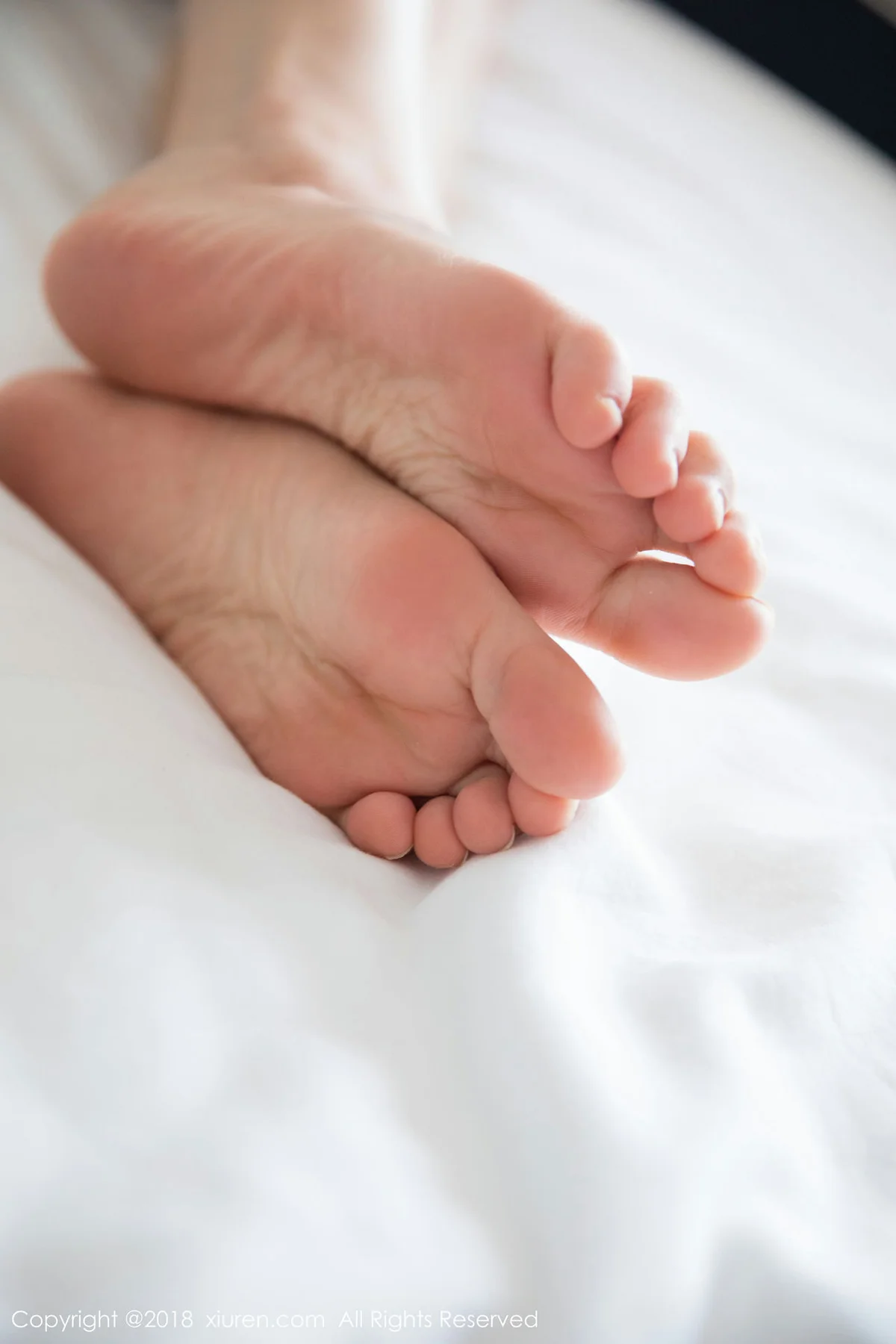 XiuRen 秀人 No.1134 杨晨晨sugar - 1