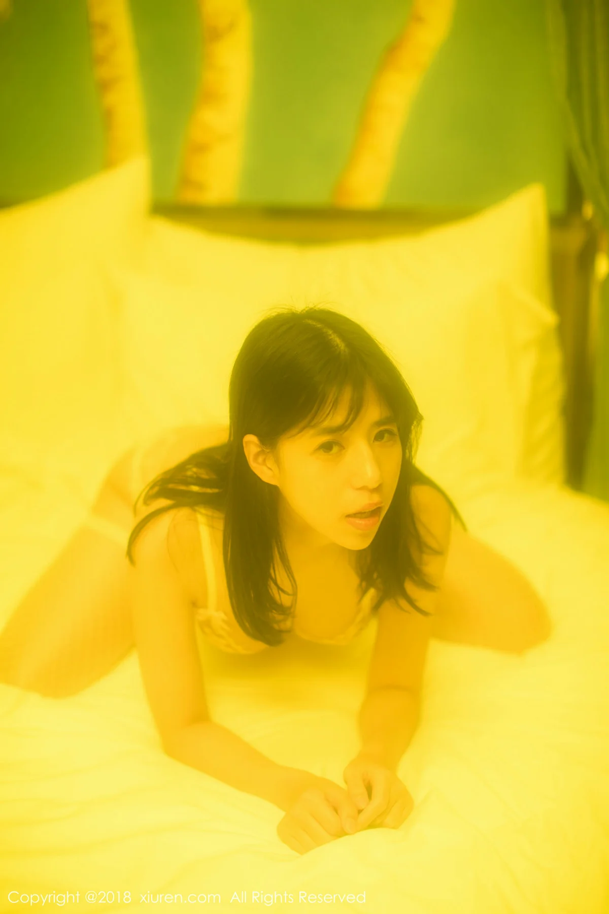 XiuRen 秀人 No.1282 艾栗栗栗栗栗栗吖 性感内衣 - 1