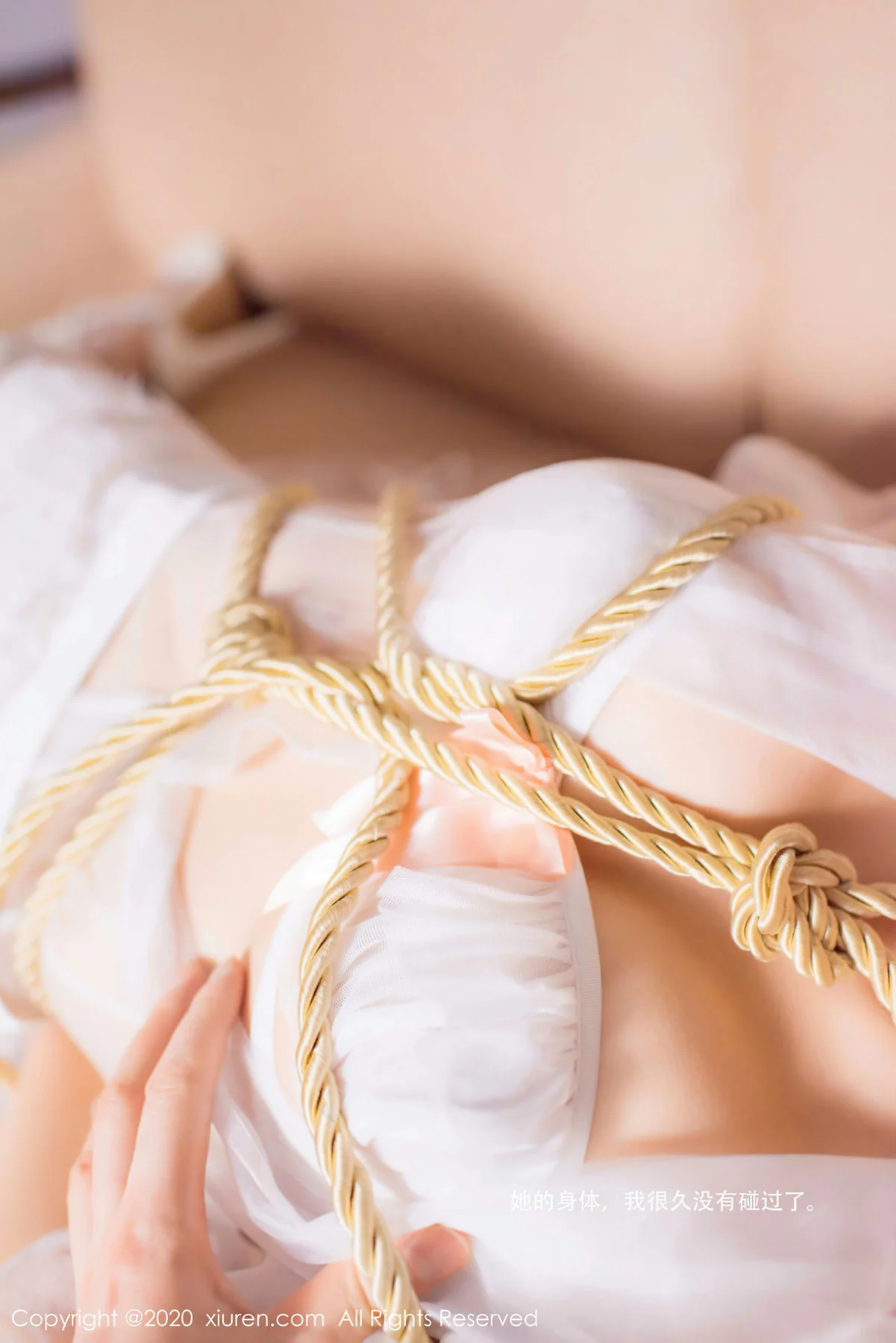 XiuRen 秀人 No.2746  前女友婚礼捆绑 还是陈梵妮 - 3