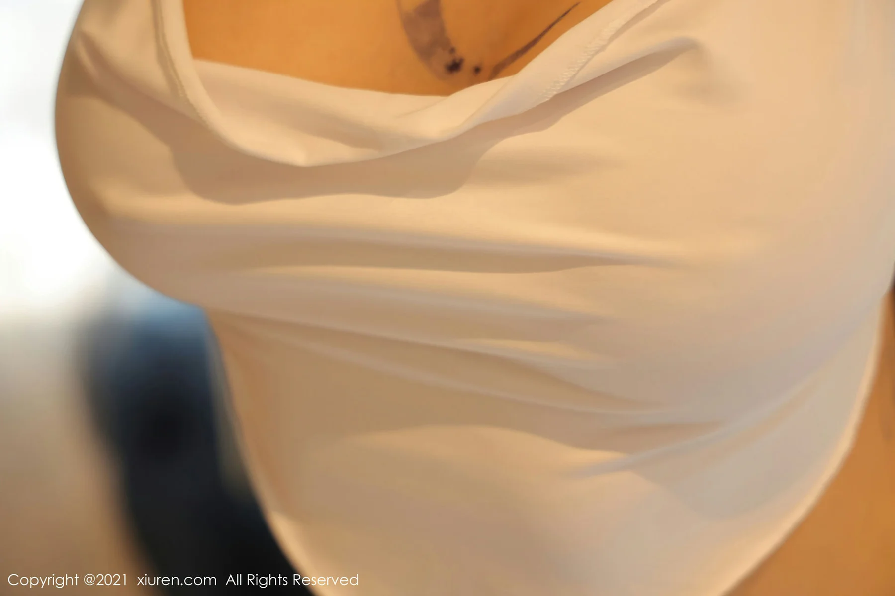 XiuRen 秀人 No.3759 美臀媚态 文静儿 纹身性感写真 - 2