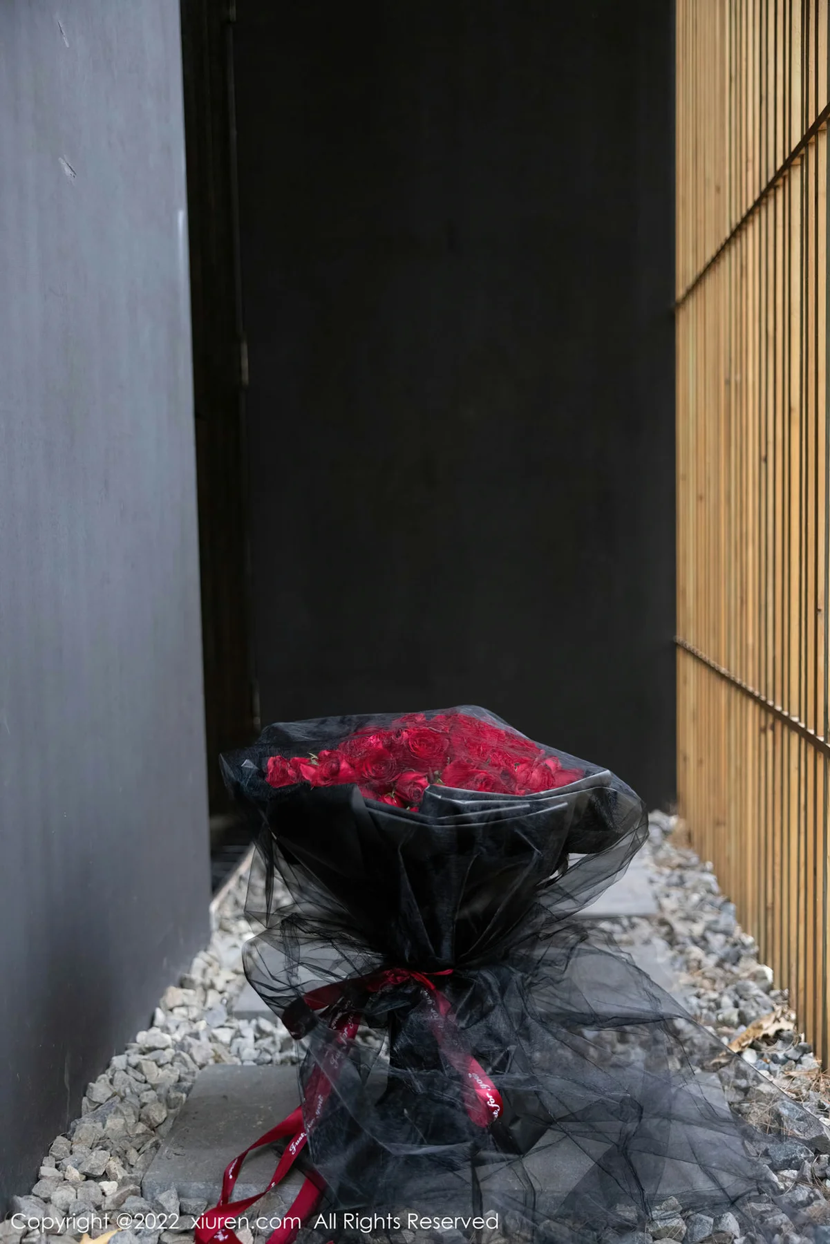 XiuRen 秀人 No.4498 短裙黑丝 绮里嘉ula 性感写真111 - 1