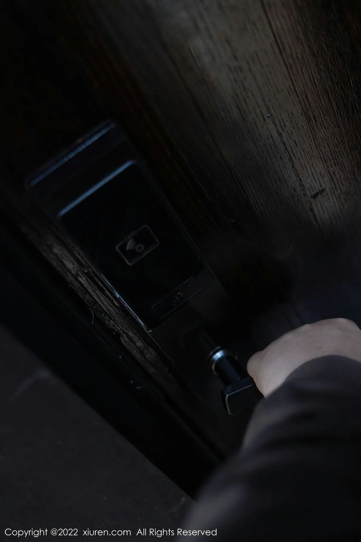 XiuRen 秀人 No.4498 短裙黑丝 绮里嘉ula 性感写真111 - 2