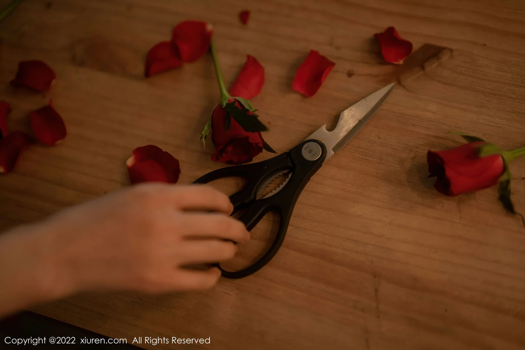 XiuRen 秀人 No.5552 魅惑黑丝 婠婠么 性感写真3 - 6