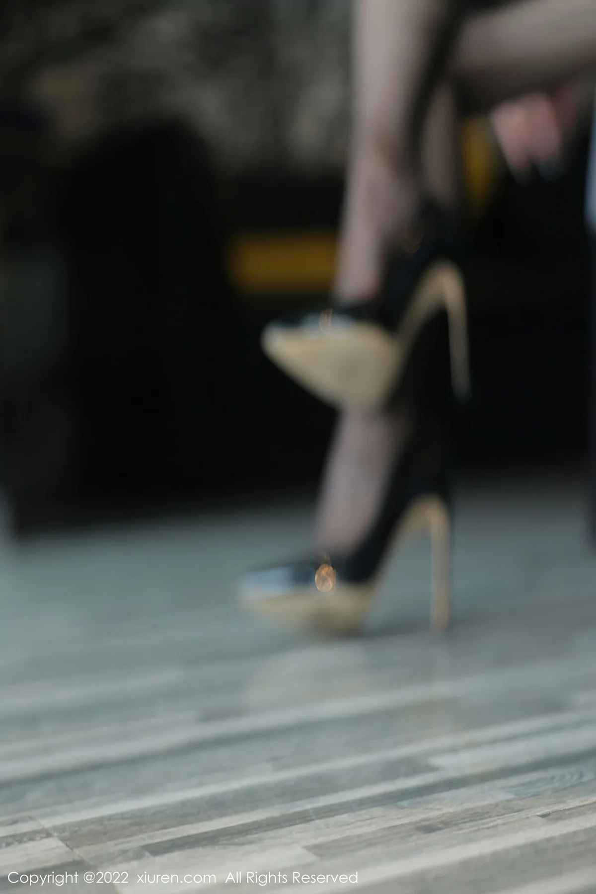 XiuRen 秀人 No.5691  顾楚楚maily 清纯甜美新人性感写真 - 5