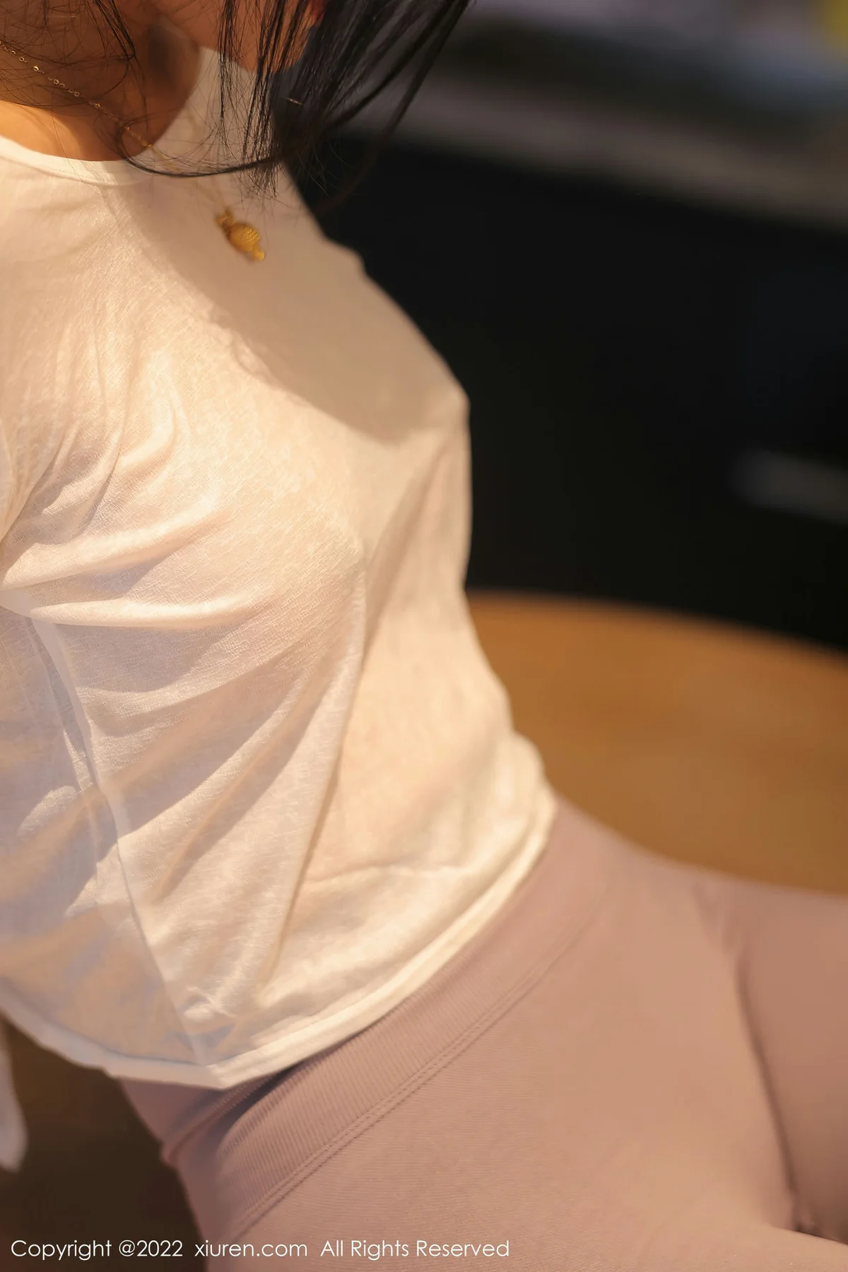 XiuRen 秀人 No.5799 苏苏阿 新人首套写真1 - 10