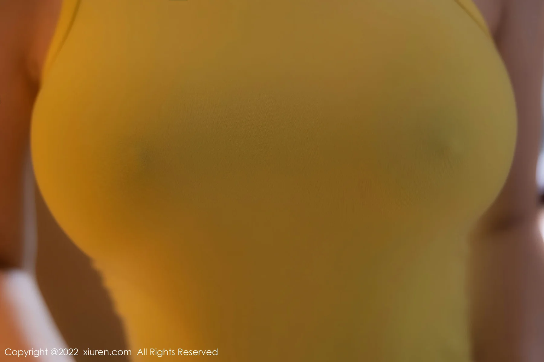 XiuRen 秀人 No.5843 顾乔楠Cora 魅惑黑丝性感写真33 - 1