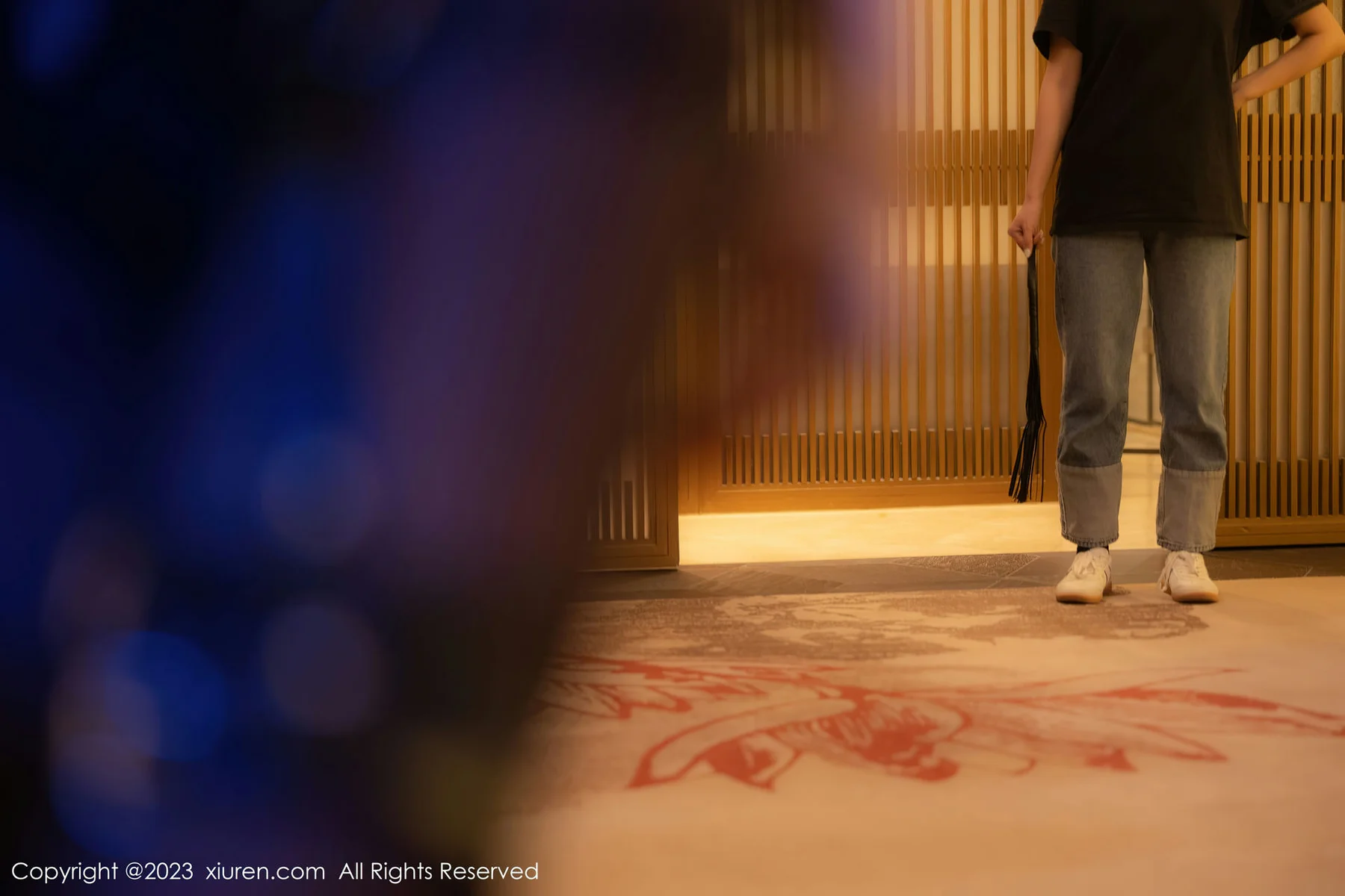 XiuRen 秀人 No.6115 潘娇娇  薄纱轻透情趣 - 2