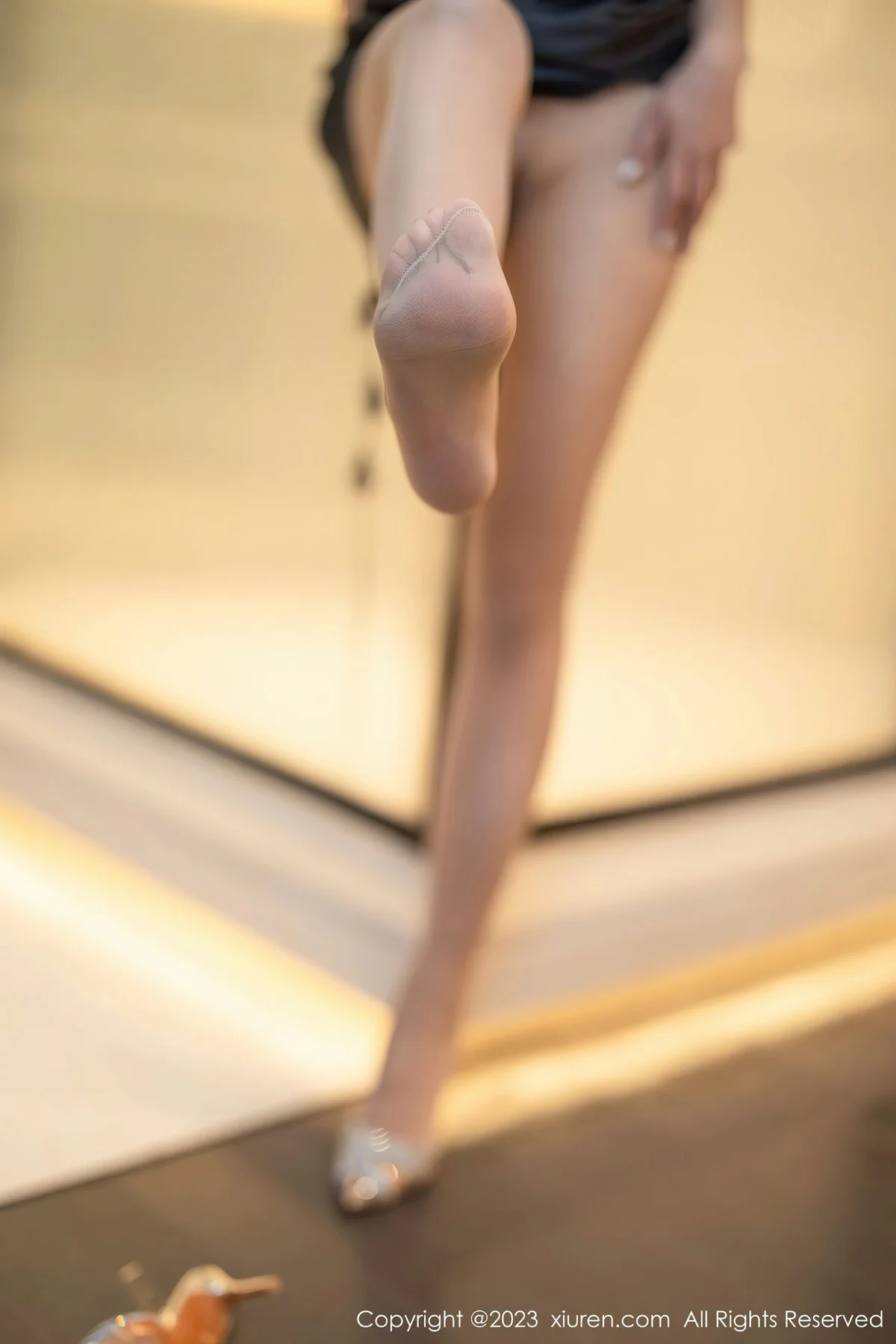 XiuRen 秀人 No.6273 icy猪 新人翘臀性感写真 - 3