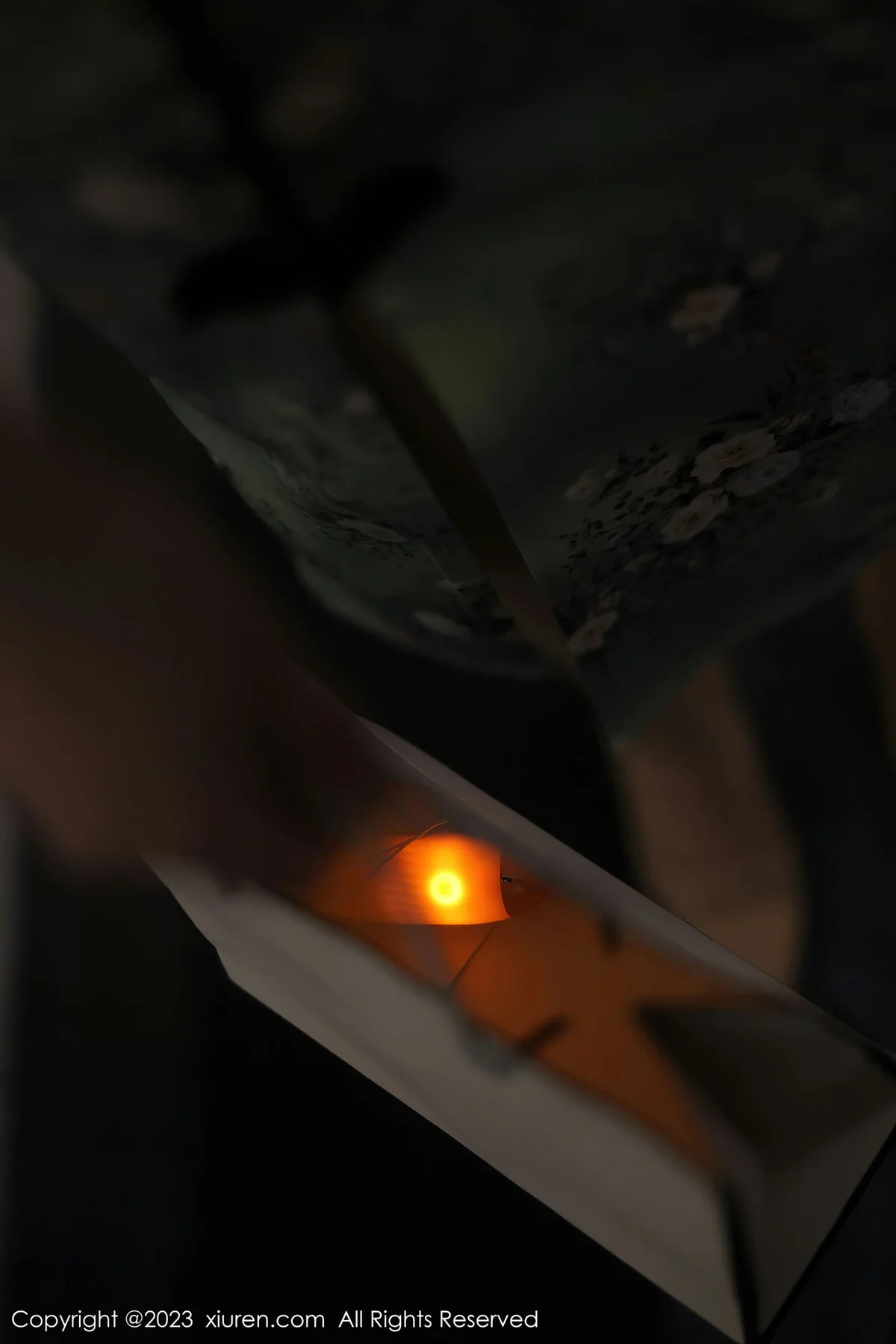 XiuRen 秀人 No.6464 Arude薇薇 绿灰色蕾丝内衣旗袍22 - 3