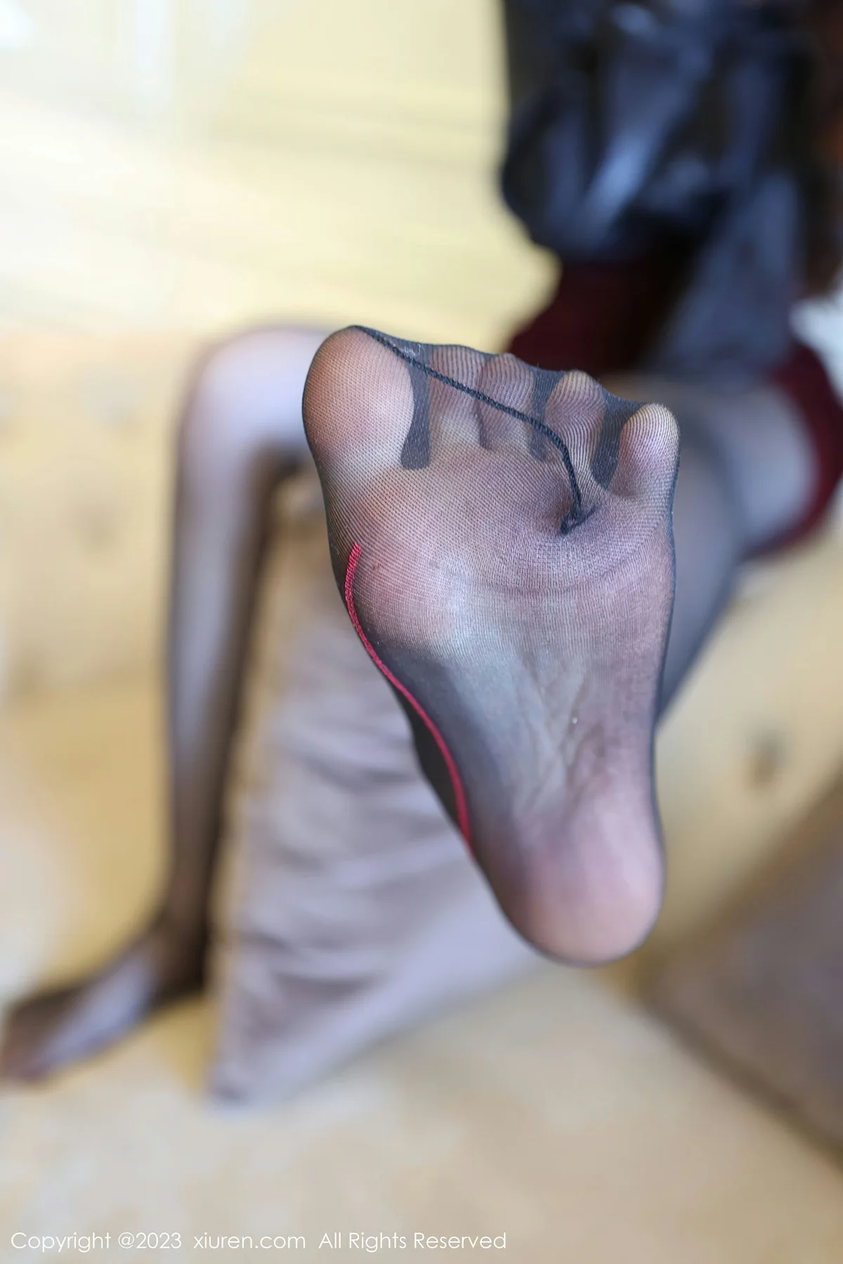 XiuRen 秀人 No.6569 玉兔miki 红色蕾丝内衣性感写真3 - 6