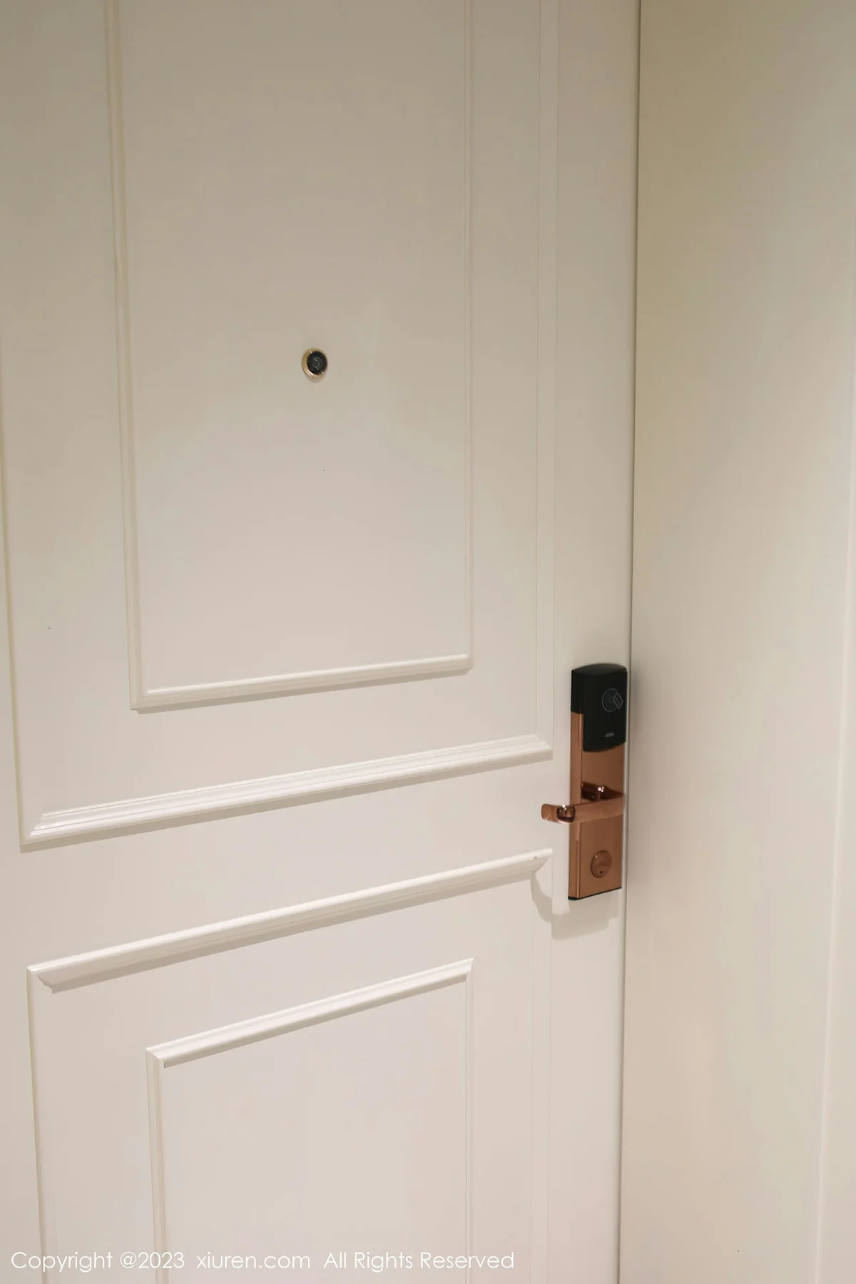 XiuRen 秀人 No.6612 乔一一 诱人肉丝性感写真2 - 5