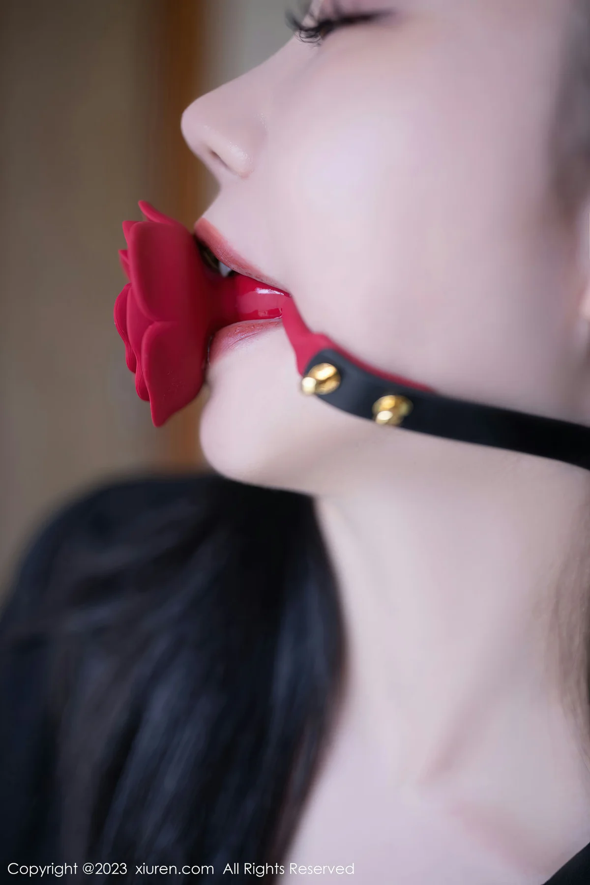 XiuRen 秀人 No.6867 安然anran 魅惑黑丝性感写真222 - 3