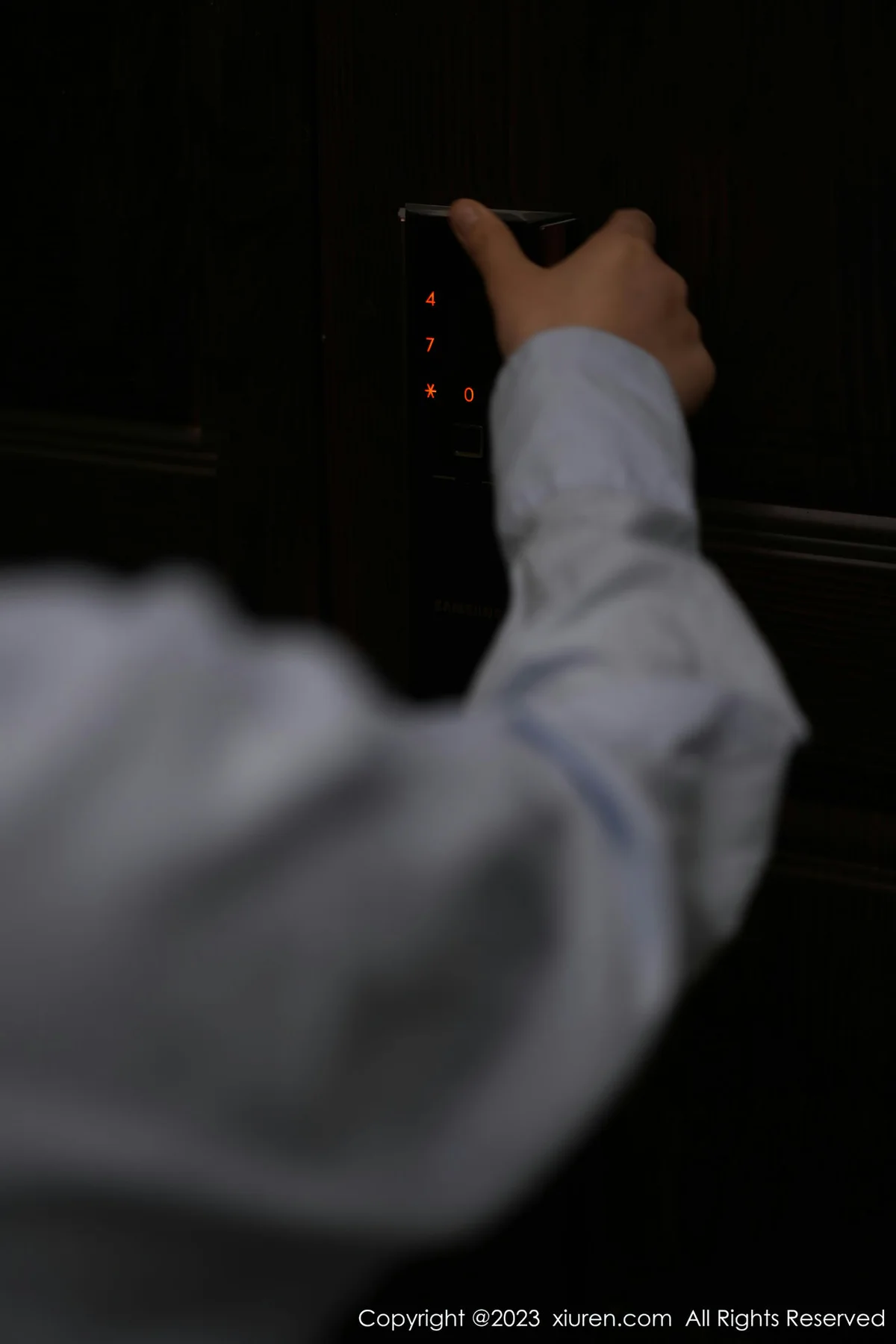 XiuRen 秀人 No.6922 laura阿姣 诱人灰丝性感写真222 - 3