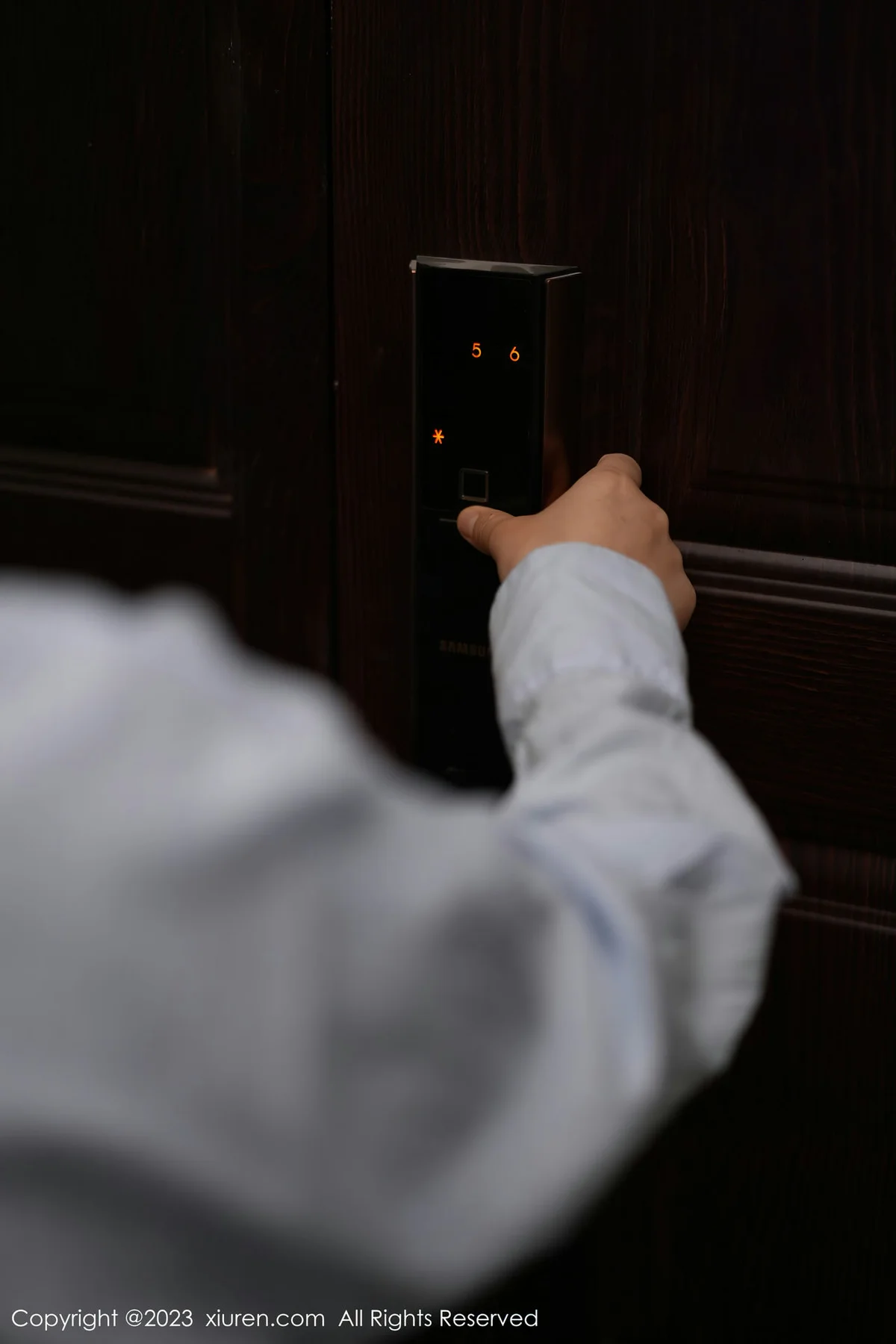 XiuRen 秀人 No.6922 laura阿姣 诱人灰丝性感写真222 - 4