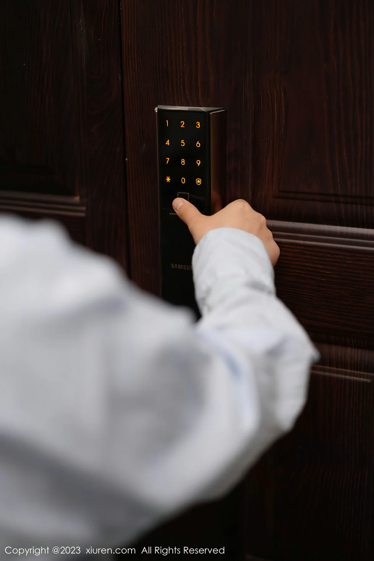 XiuRen 秀人 No.6922 laura阿姣 诱人灰丝性感写真222 - 5