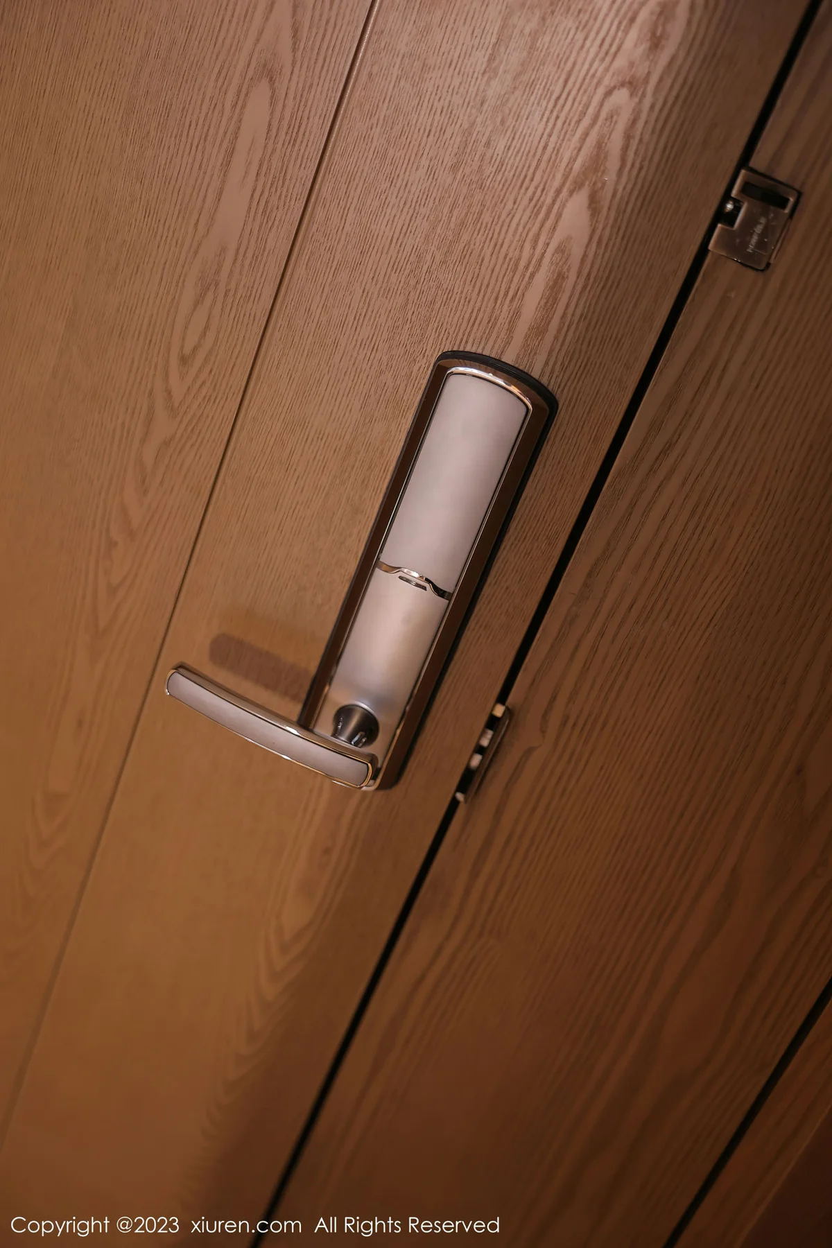 XiuRen 秀人 No.7237  幼幼 白黑色女仆性感写真111 - 1