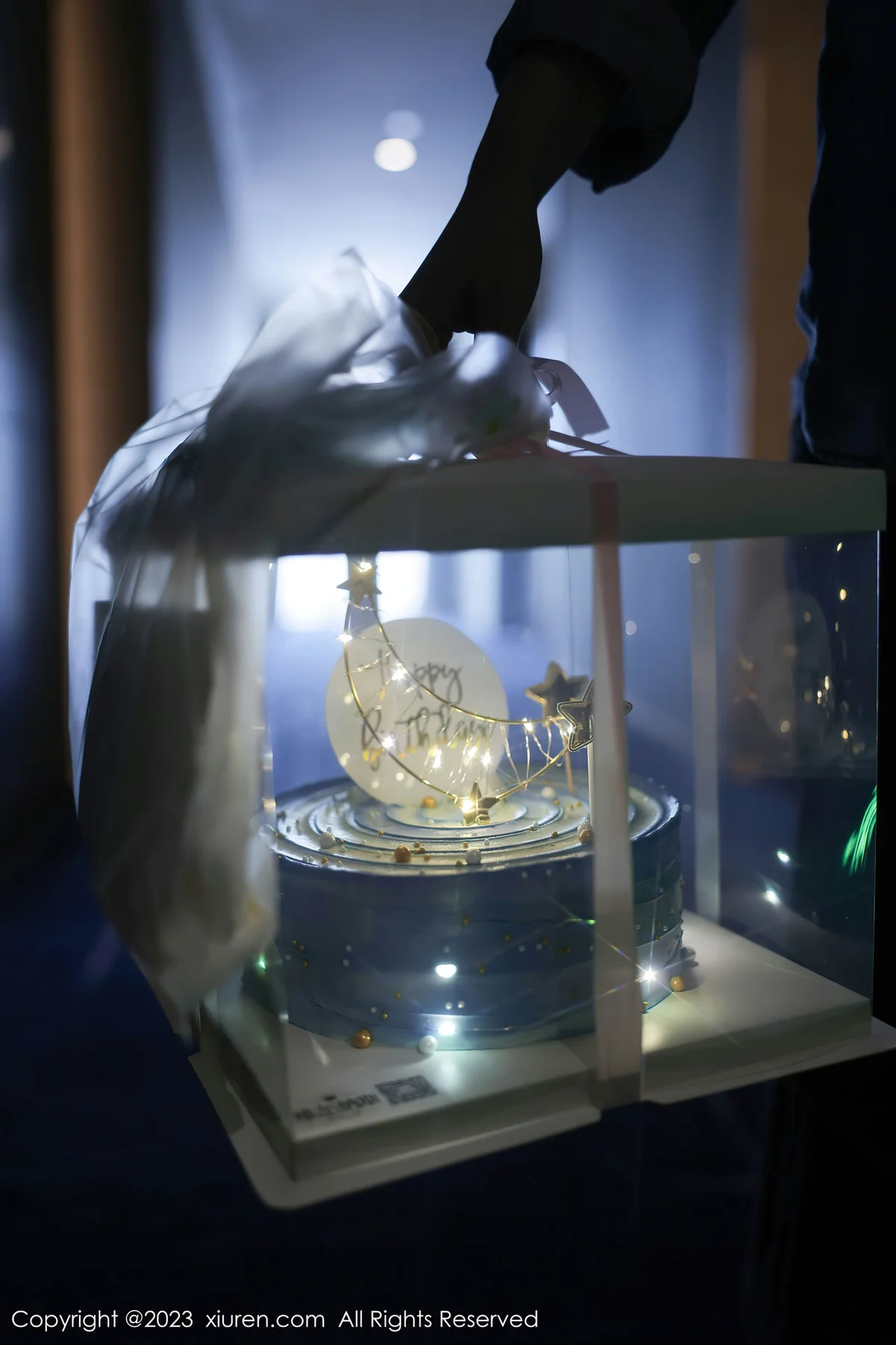 XiuRen 秀人 No.7348  幼幼 白色网纱性感写真11 - 2