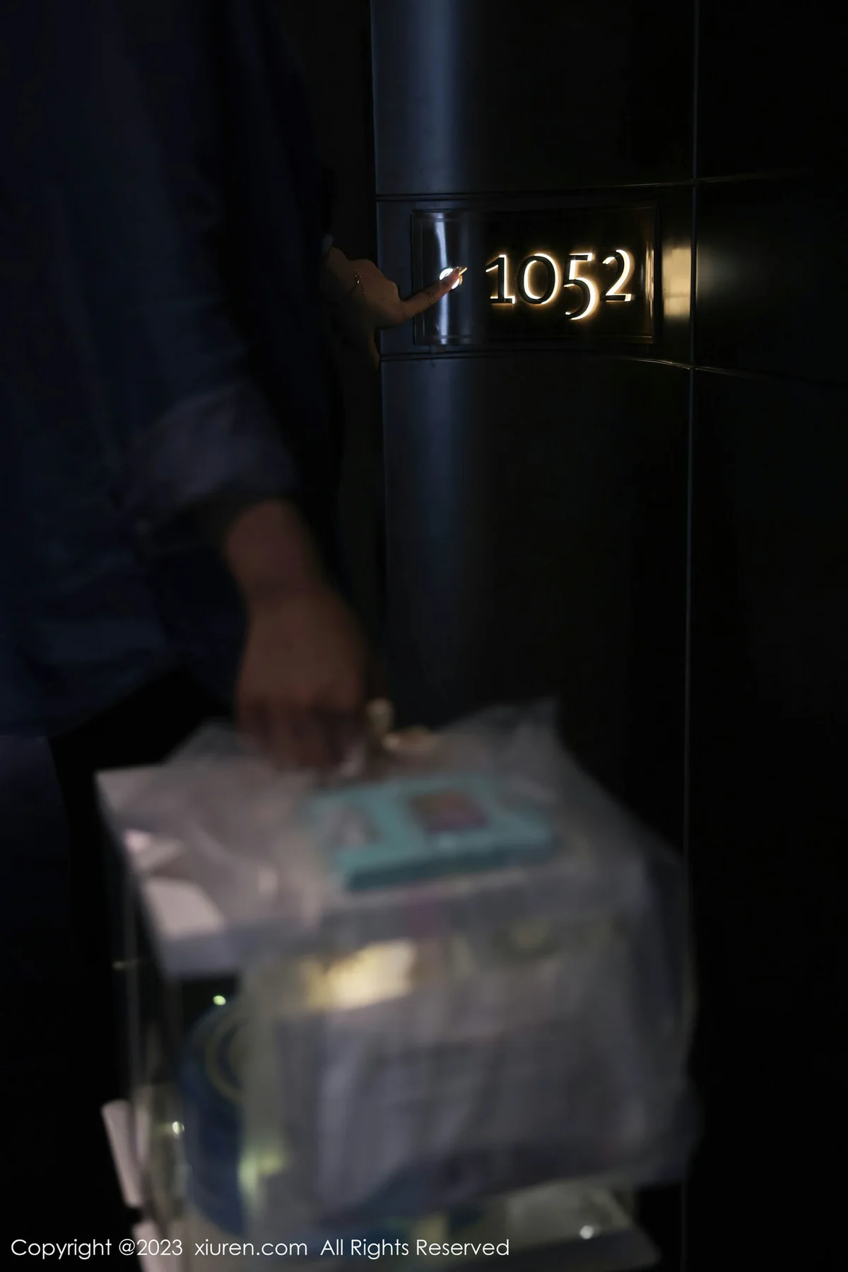 XiuRen 秀人 No.7348  幼幼 白色网纱性感写真11 - 3