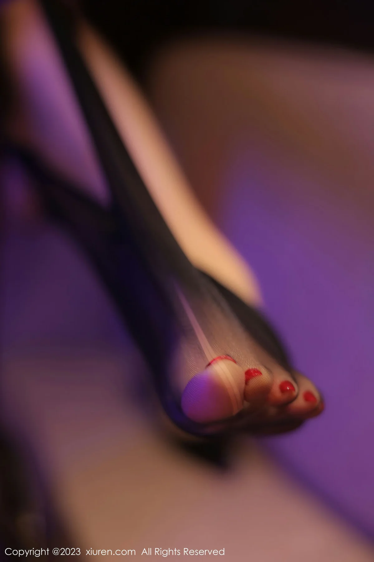 XiuRen 秀人 No.7848  田冰冰 魅惑黑丝性感写真 - 1