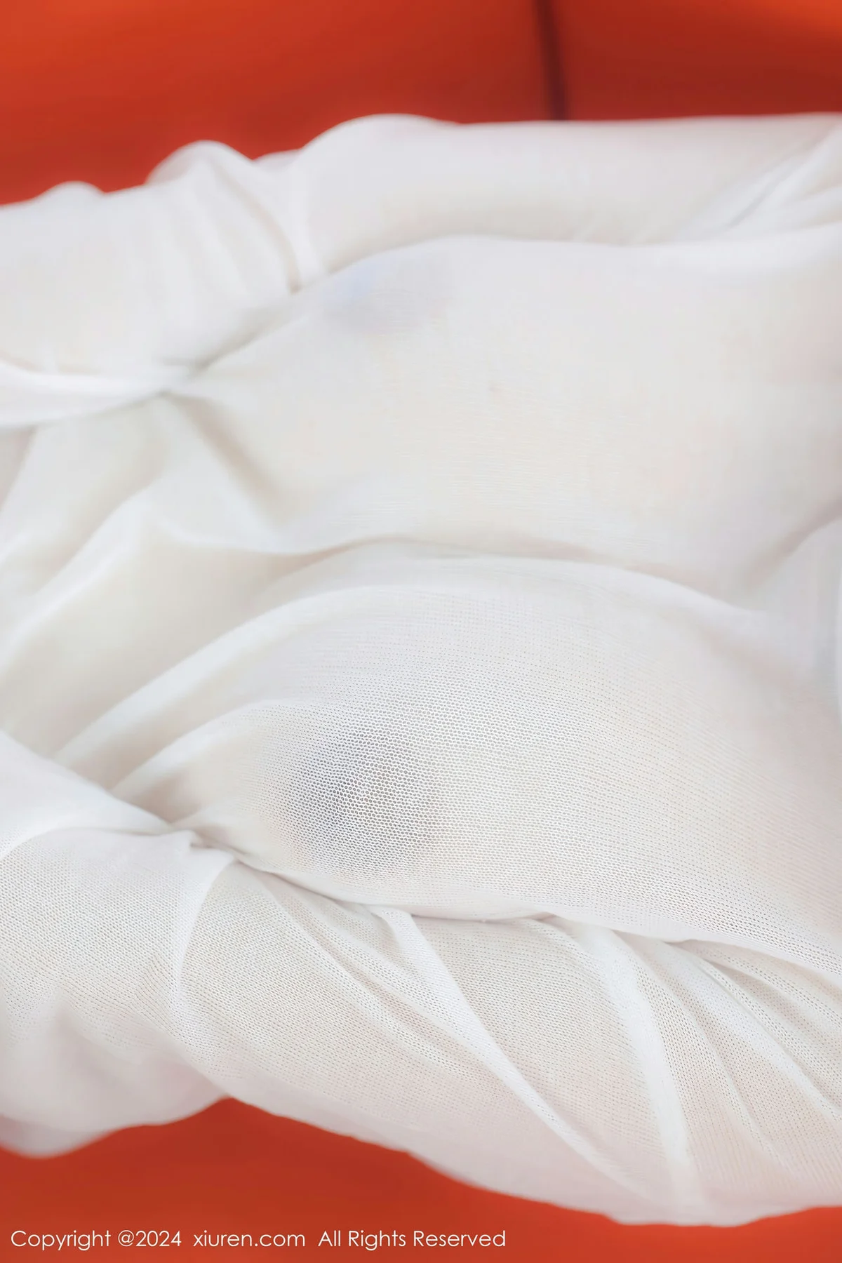 XiuRen 秀人 No.7898  小薯条nienie 白色薄纱新人性感写真111 - 8