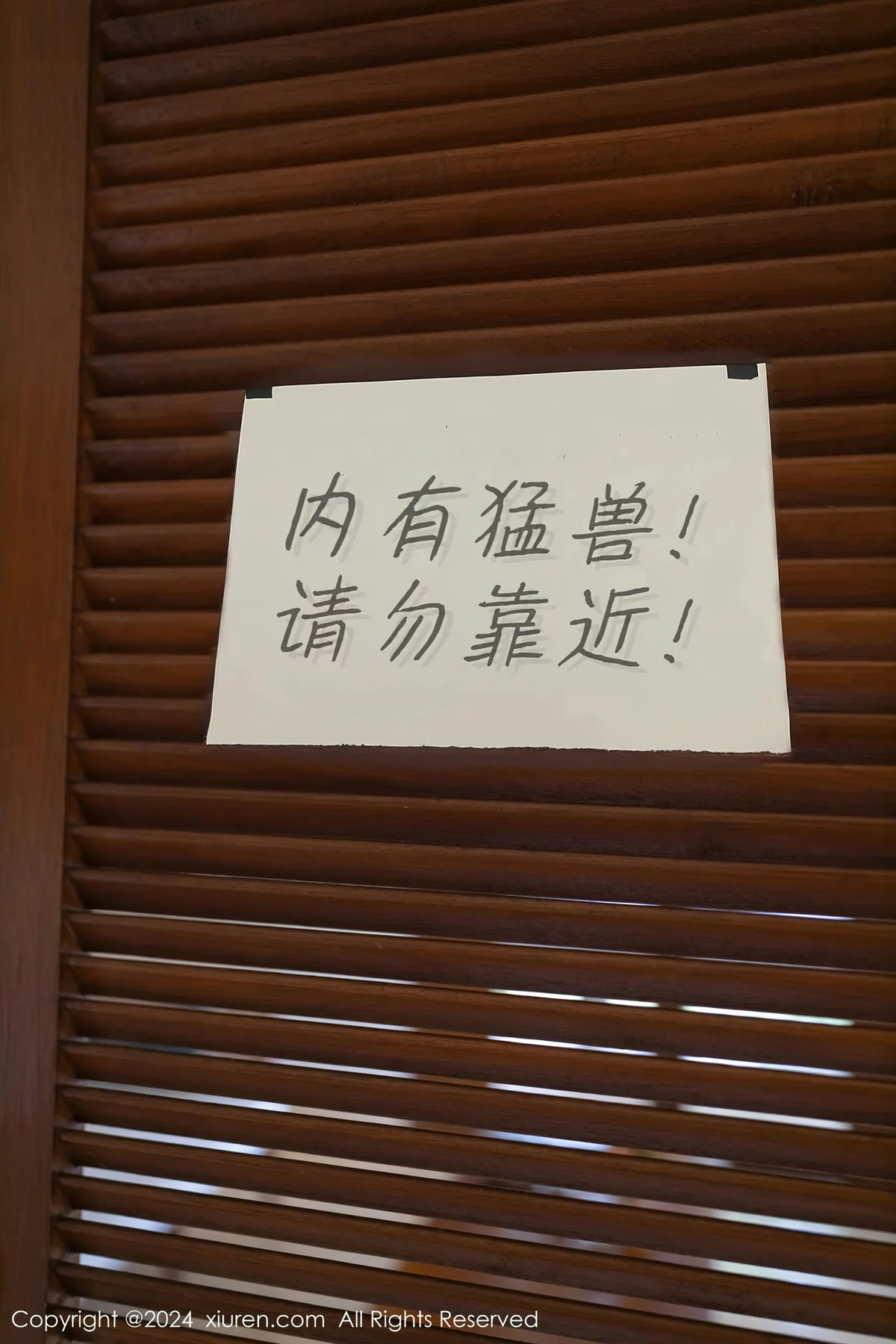 XiuRen 秀人 No.8029  幼幼 野兽装扮泰国旅拍111 - 1