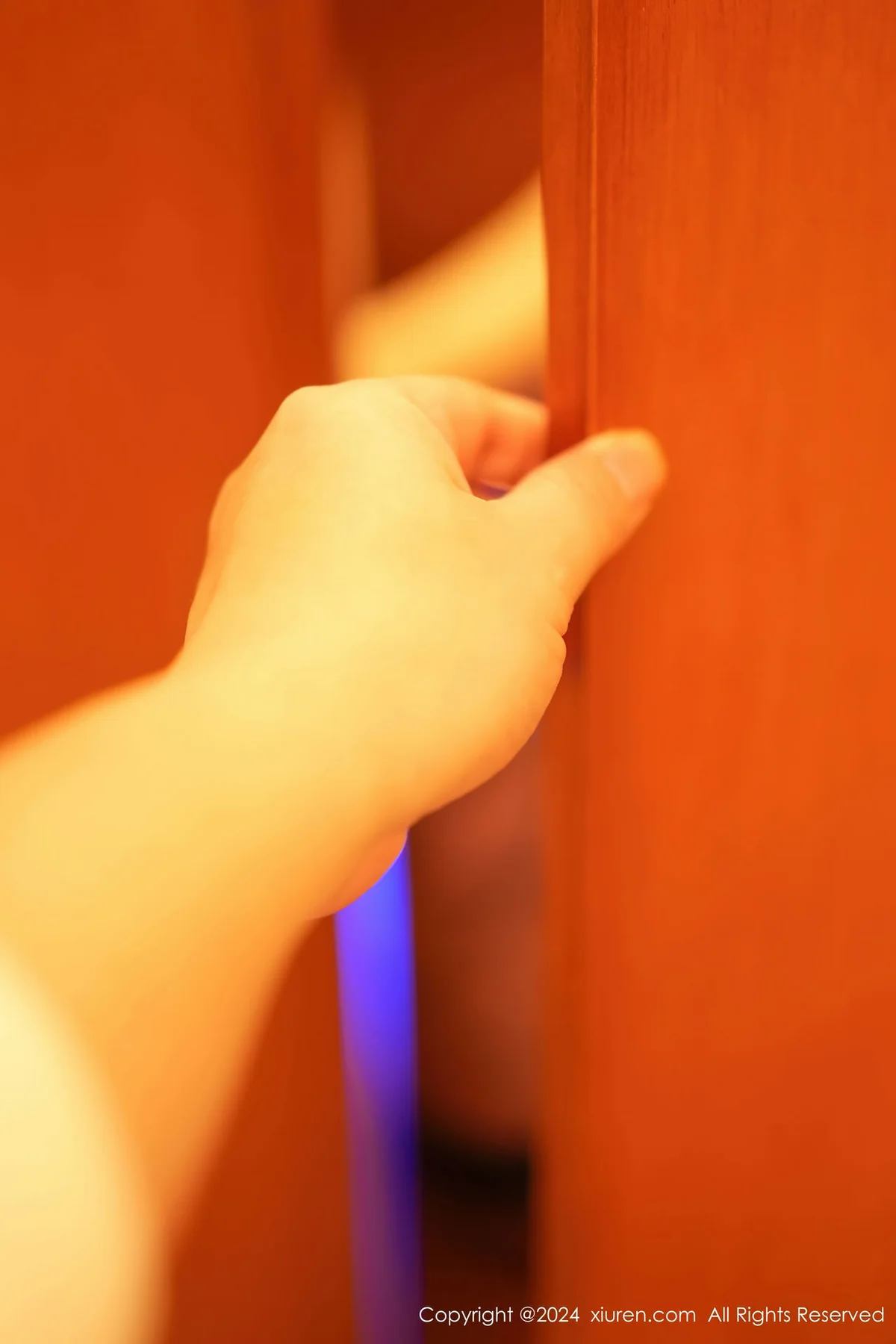 XiuRen 秀人 No.8054  谭小灵 捆绑主图拍摄性感写真2 - 2