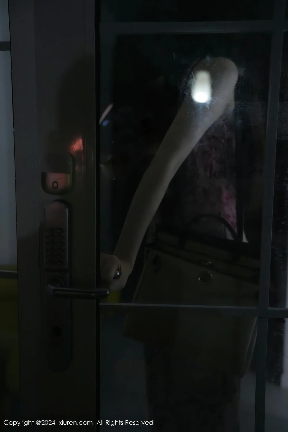 XiuRen 秀人 No.8855 Erikaki 浅粉色碎花裙性感写真111 - 4