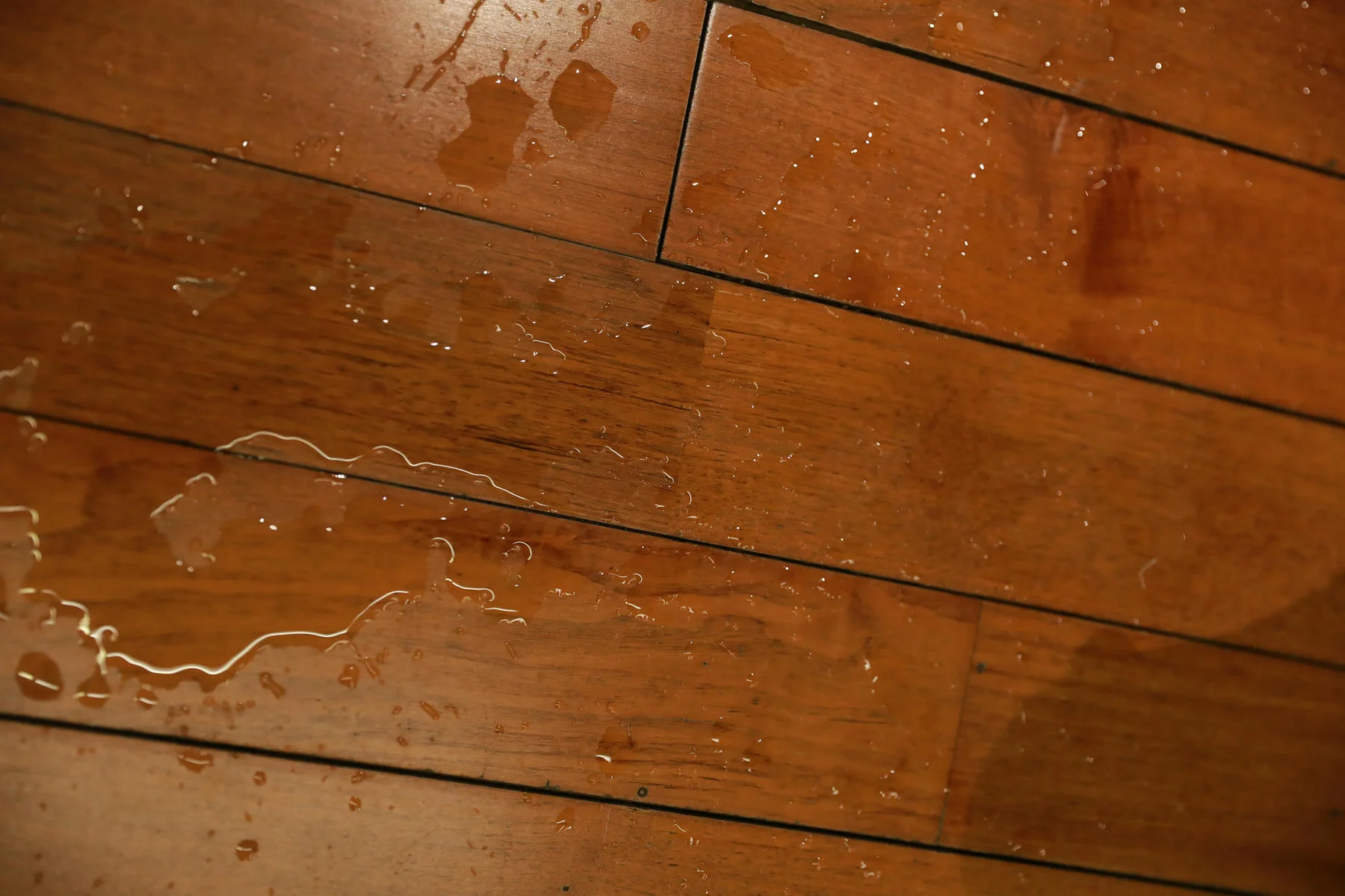 XiuRen 秀人 No.N039 小薯条nienie健身房运动美女 - 1