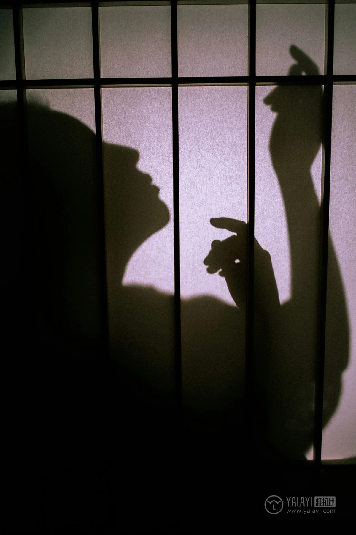 YALAYI 雅拉伊 Vol.202 圆圆 - 8