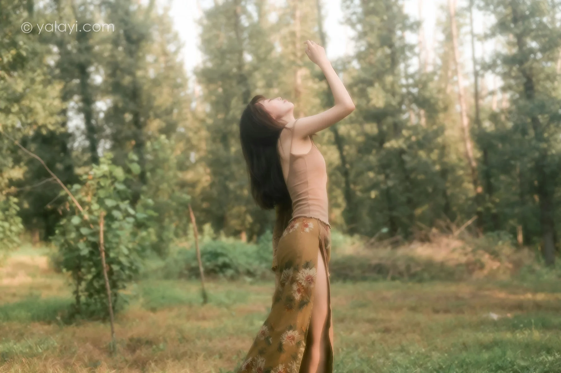 YALAYI 雅拉伊 Vol.689    佳佳《梦境》 - 5