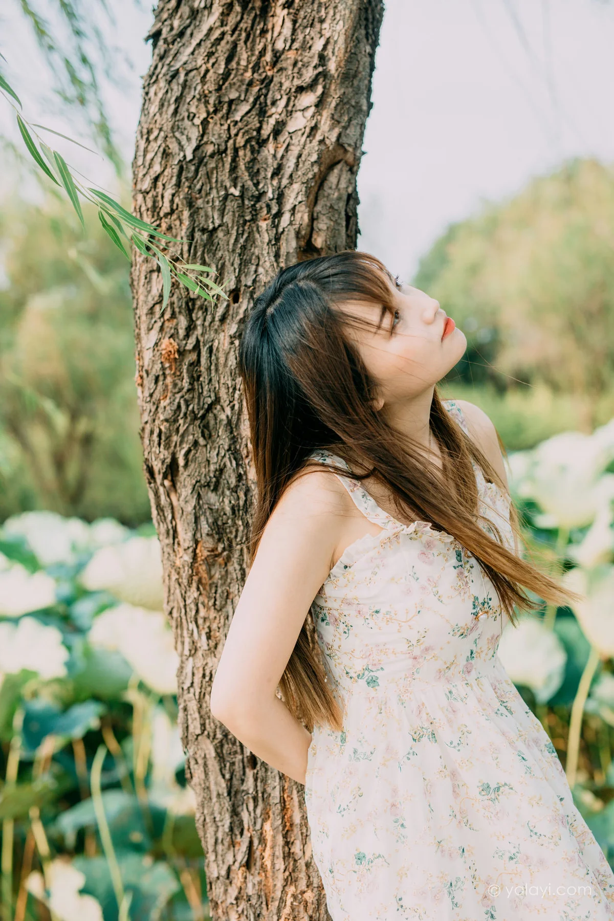 YALAYI 雅拉伊 Vol.699     周周《杨柳岸》 - 8