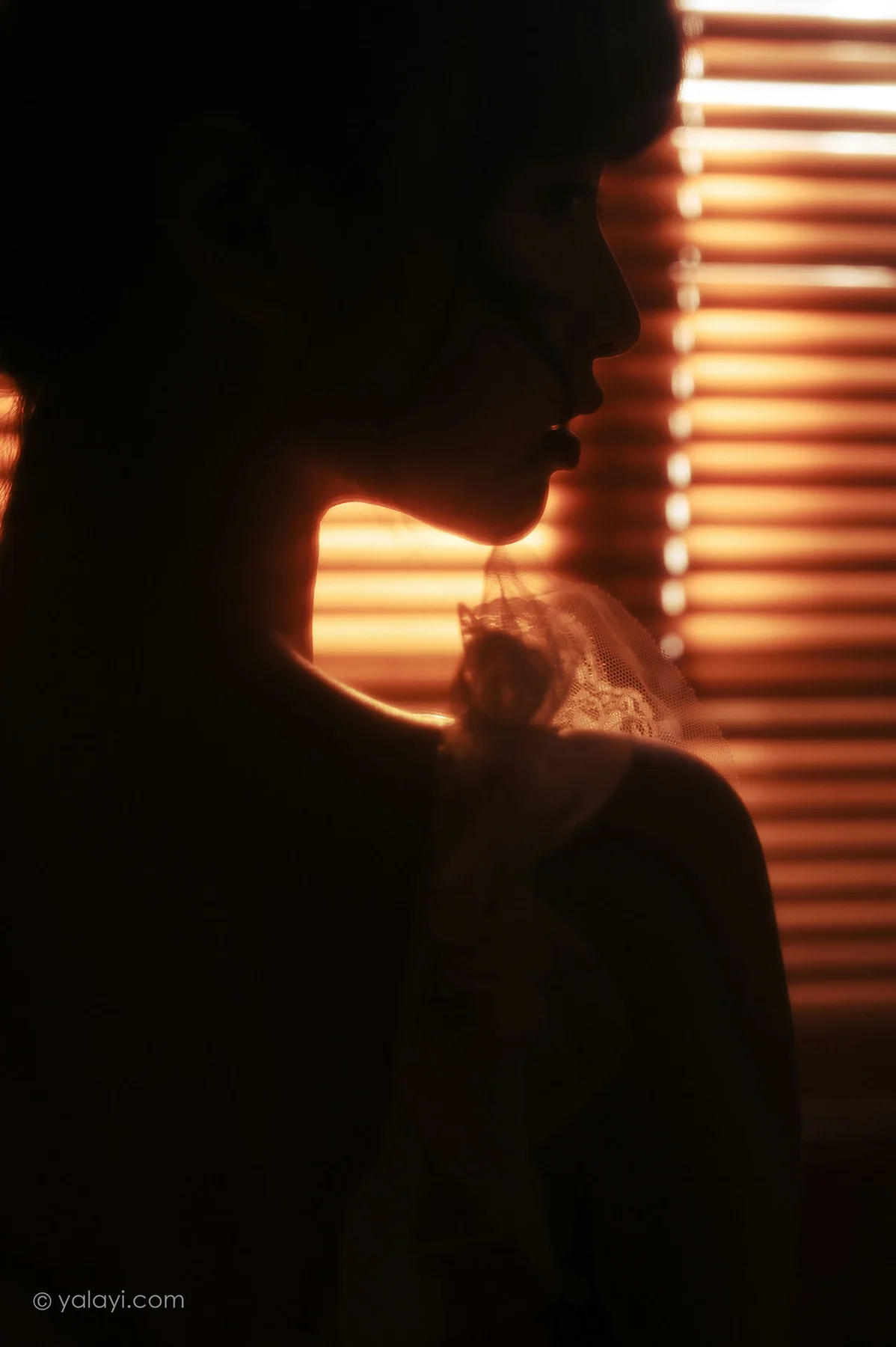 YALAYI 雅拉伊 Vol.780    京京 红颜旧梦 - 8