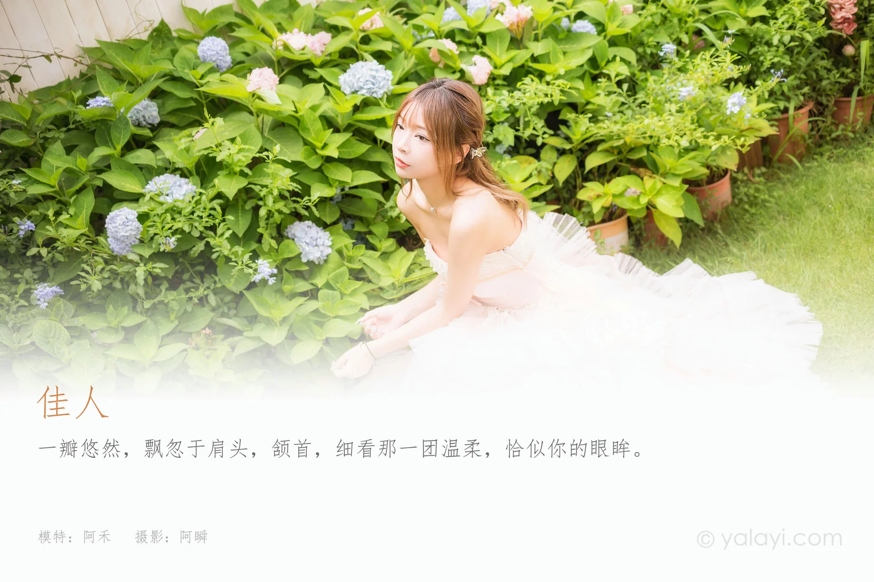 YALAYI 雅拉伊 Vol.924  阿禾 佳人 - 1