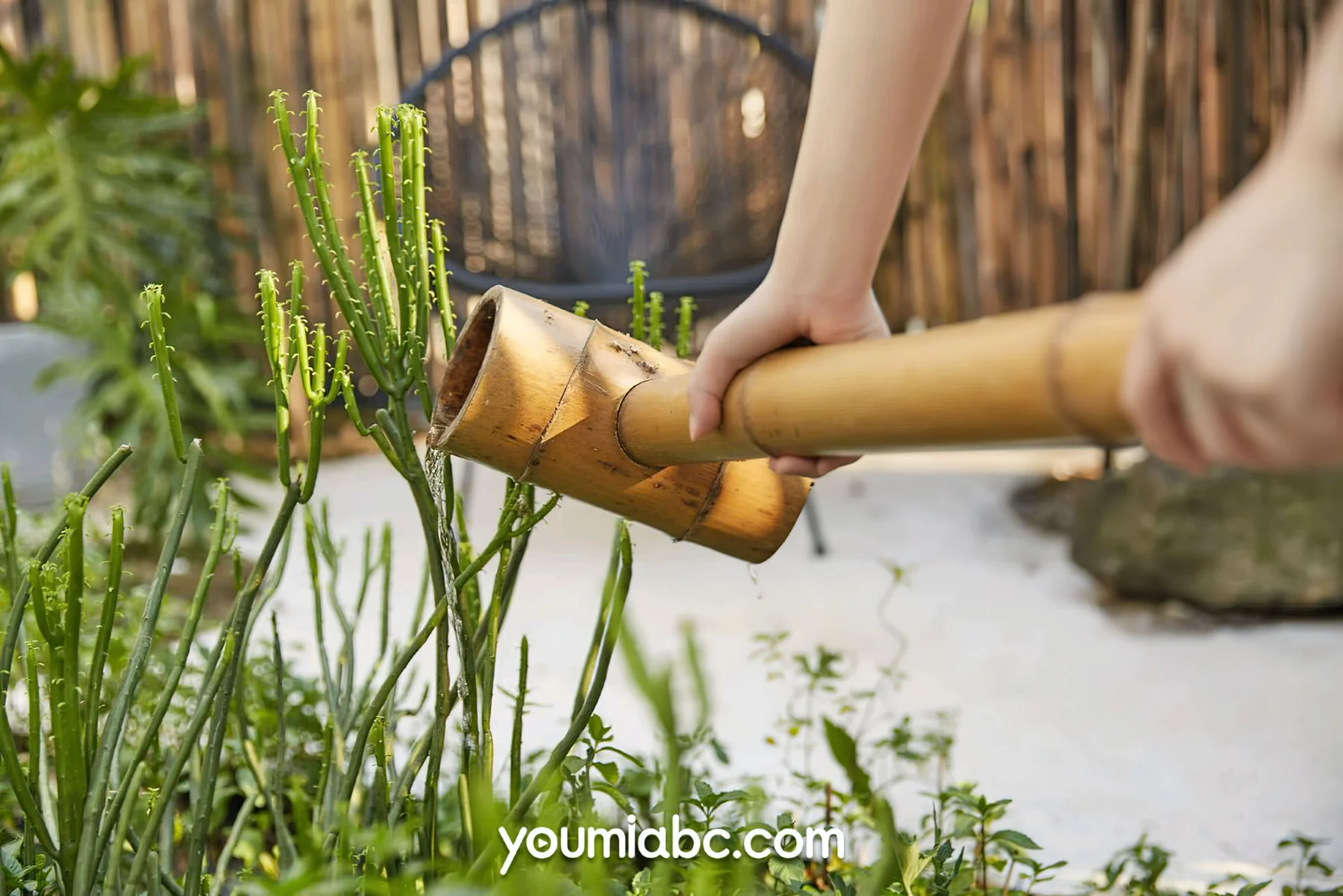 YOUMEI 尤美  2023-01-08 尹儿 - 4