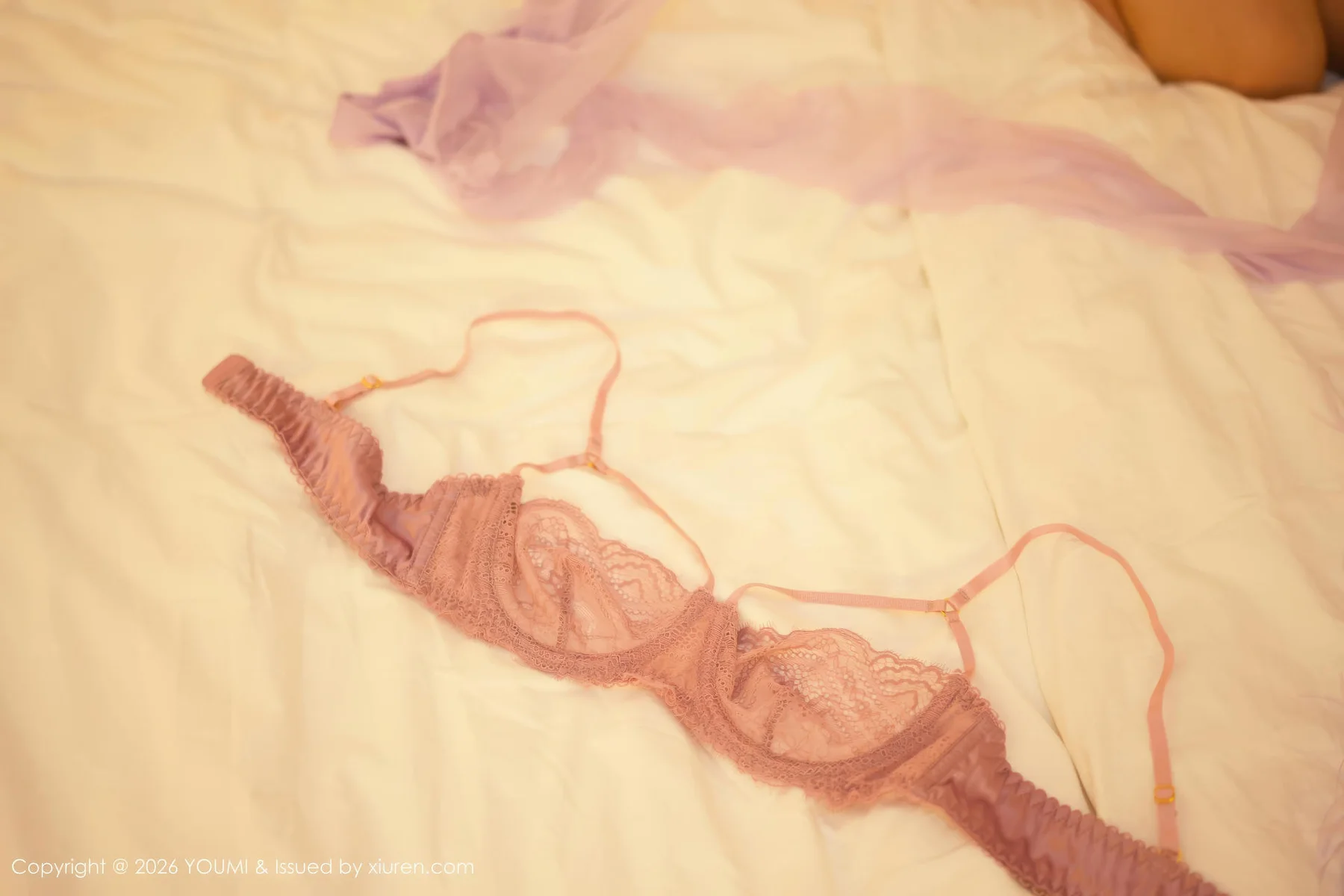 YOUMI 尤蜜荟 Vol.1196 凯竹法师 礼裙美腿紫色丝袜 - 10